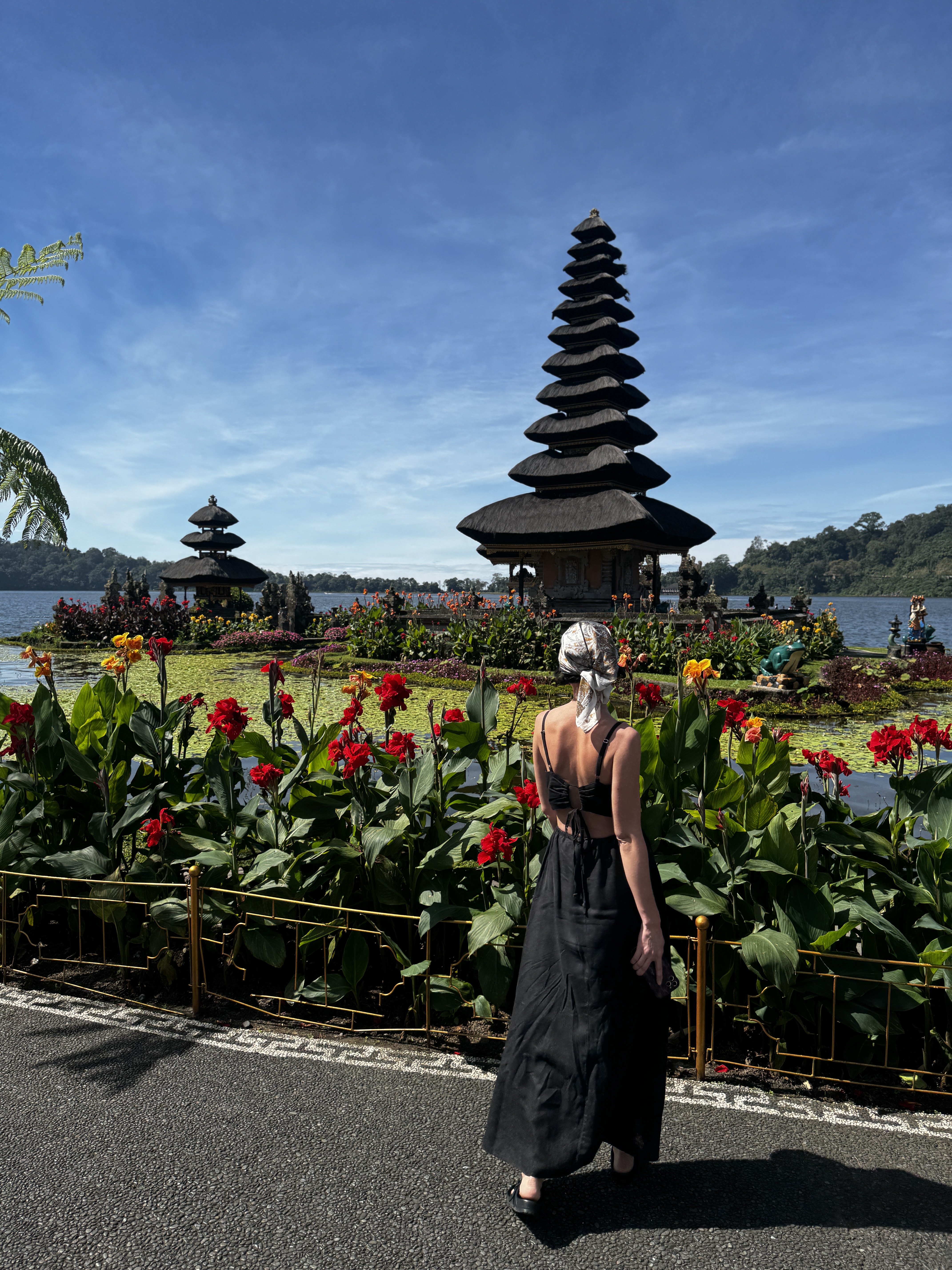 Вокруг Бали и Нуса-Пениды за 12 дней: Максимум впечатлений и отдыха! (31/175)