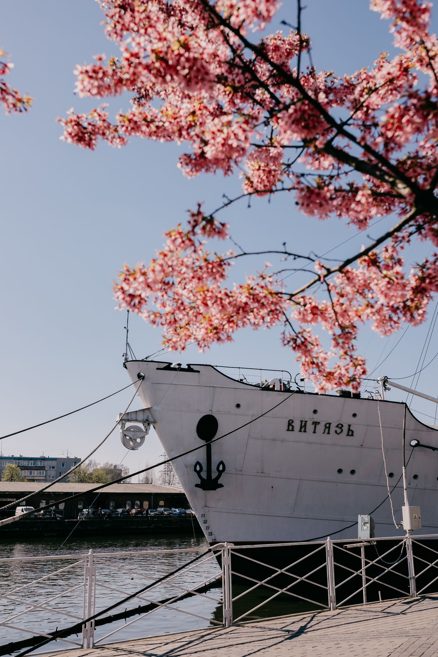 Релакс-тур в Калининград (1/12)