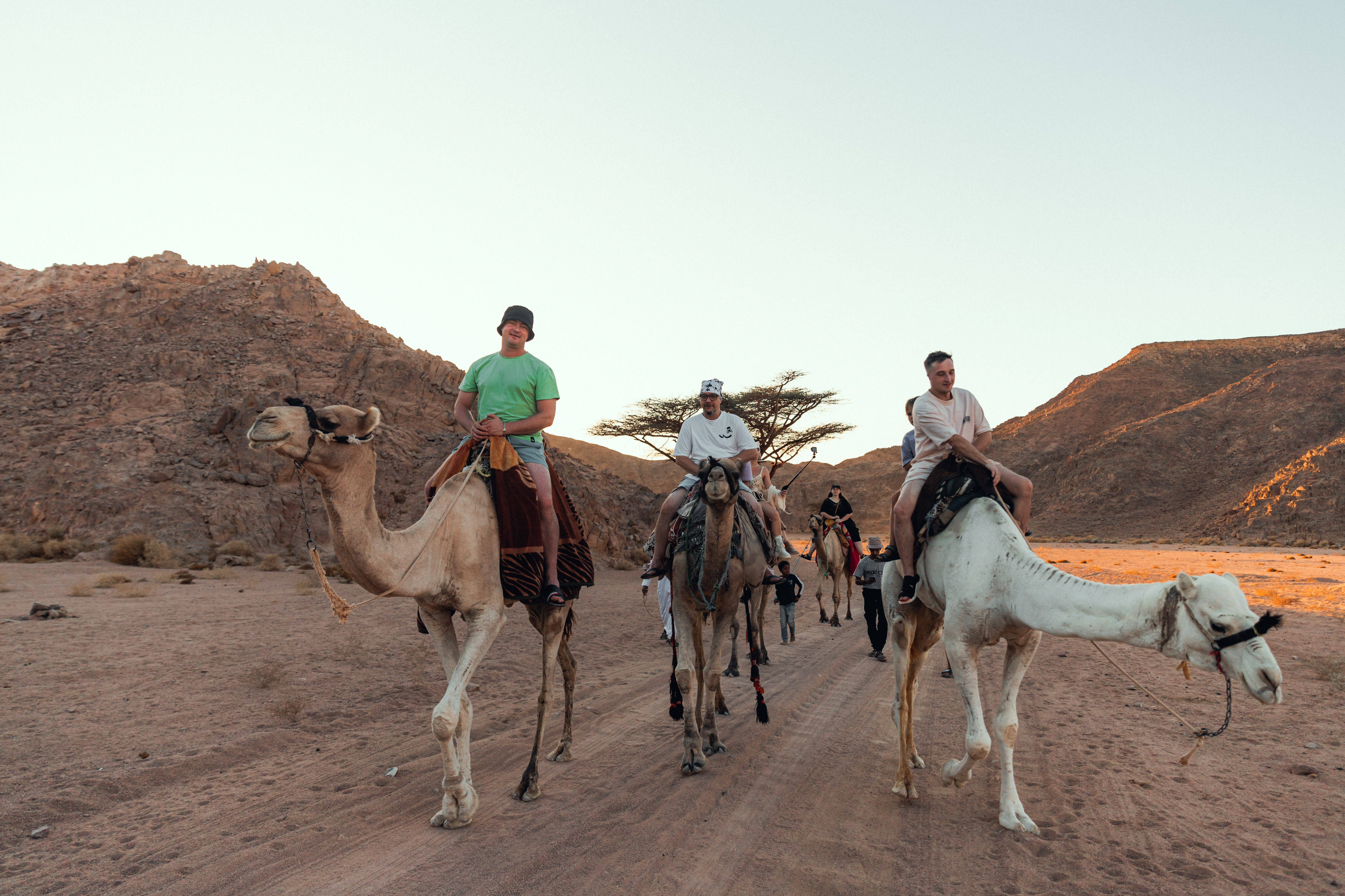 Нувейба не известное место на Красном море среди каньонов Синая Египет для Своих (4/79)