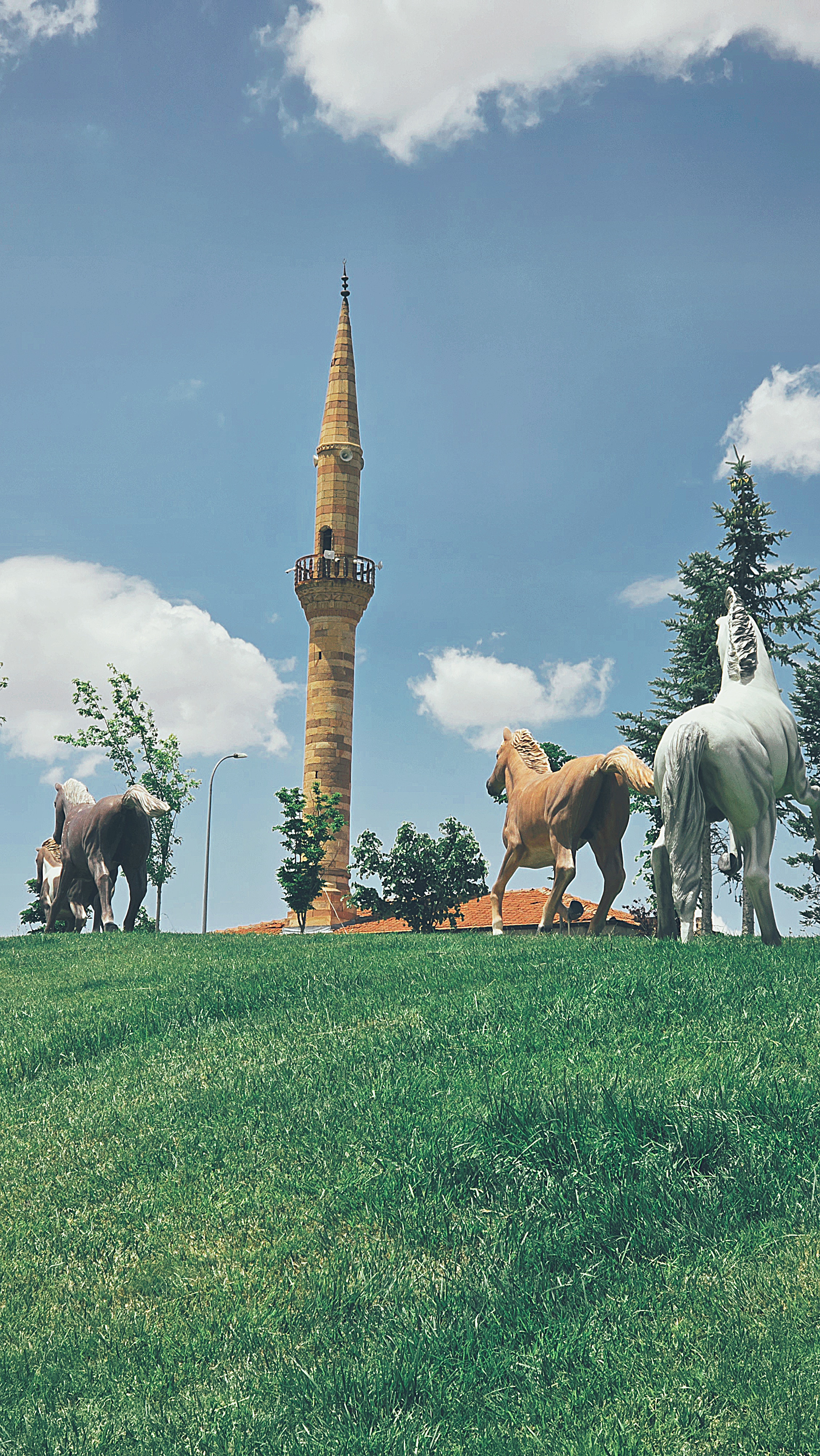 Горизонты Каппадокии — на воздушном шаре в Гёреме (12/12)