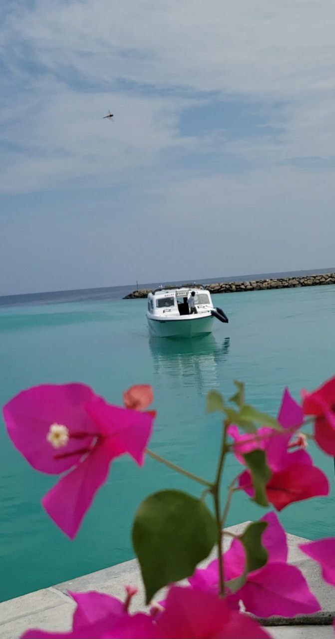 Путешествие  на Мальдивы (30/30)