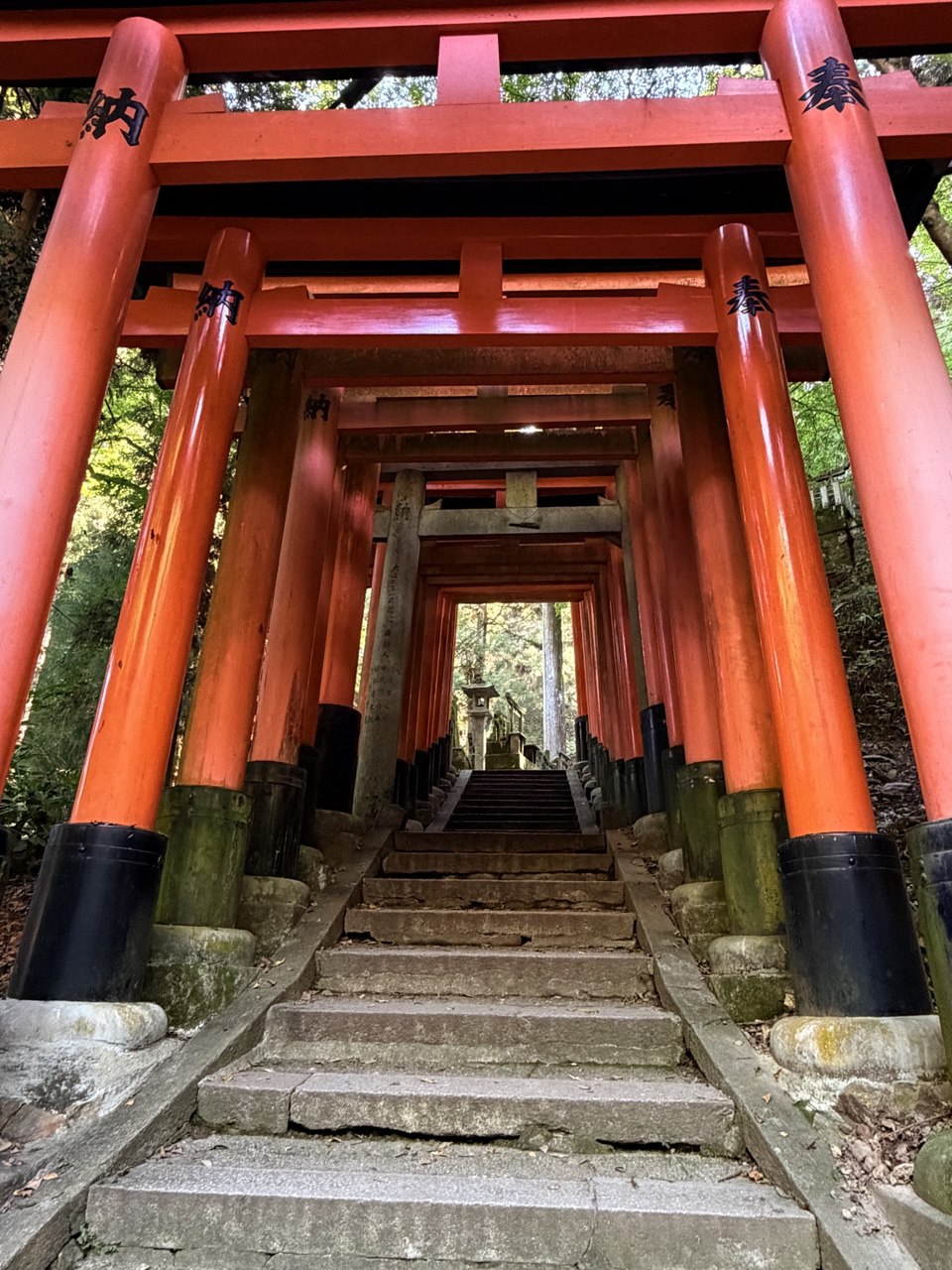 Тур Дух Японии (4/23)