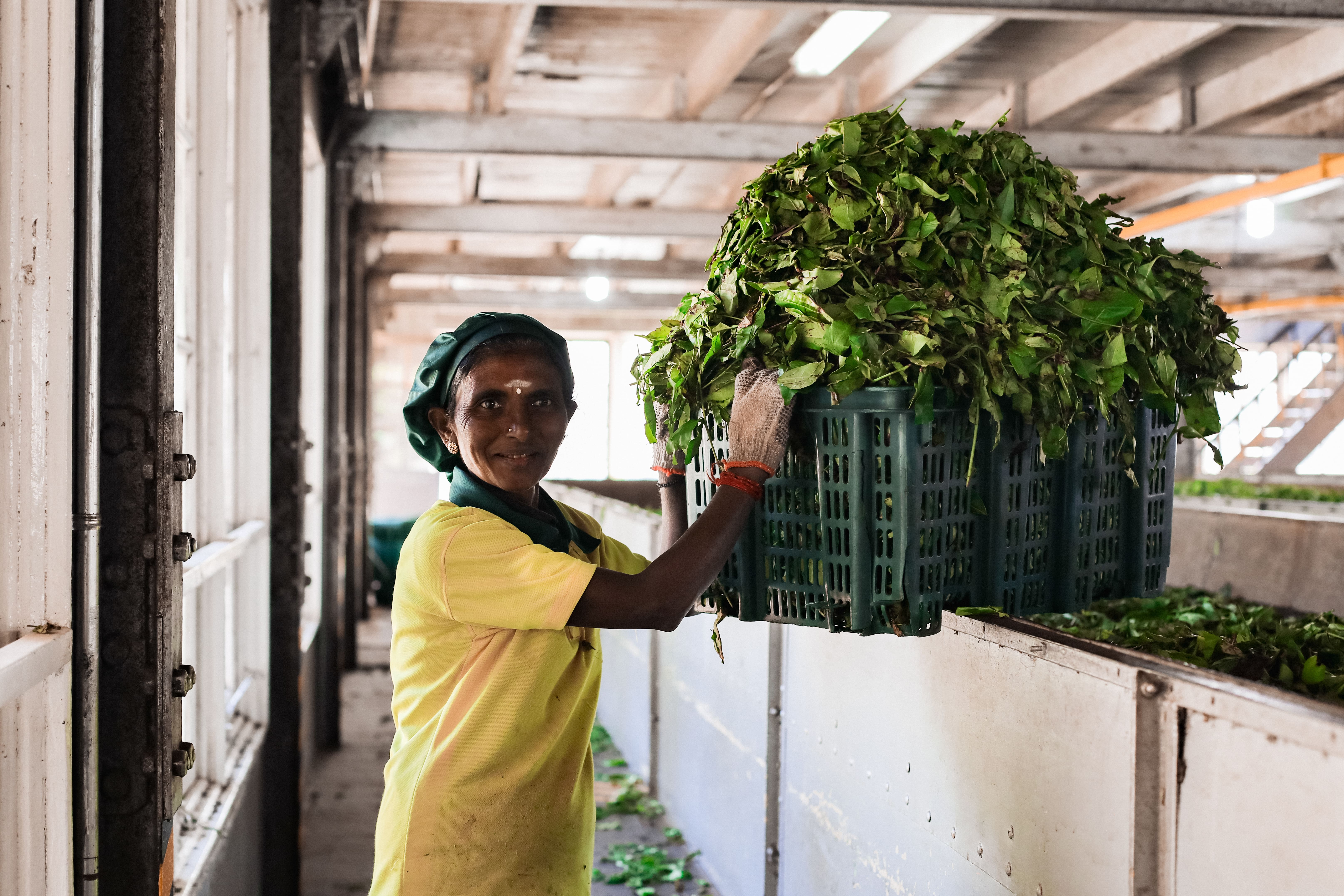 Шри-Ланка: главное на суше + океанский круиз (16/38)