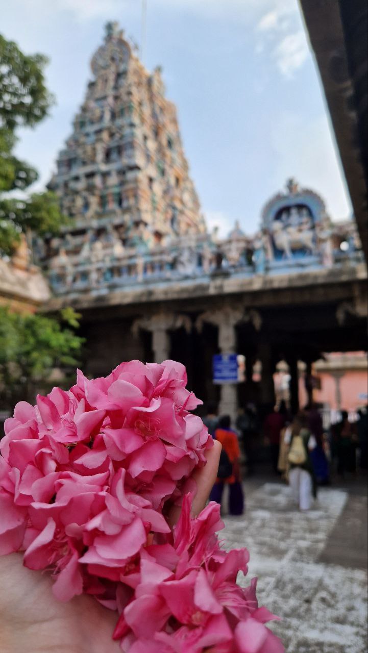 Твой портал в сакральную Индию: музыкальное паломничество по местам силы (12/33)