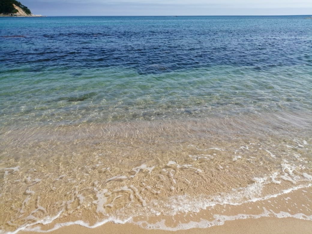 Из Владивостока — в бухту Триозёрье