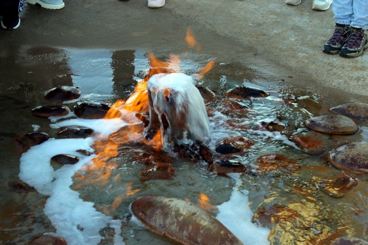 Калмыкия. Тюльпаны степи и буддийская тишина (3/37)