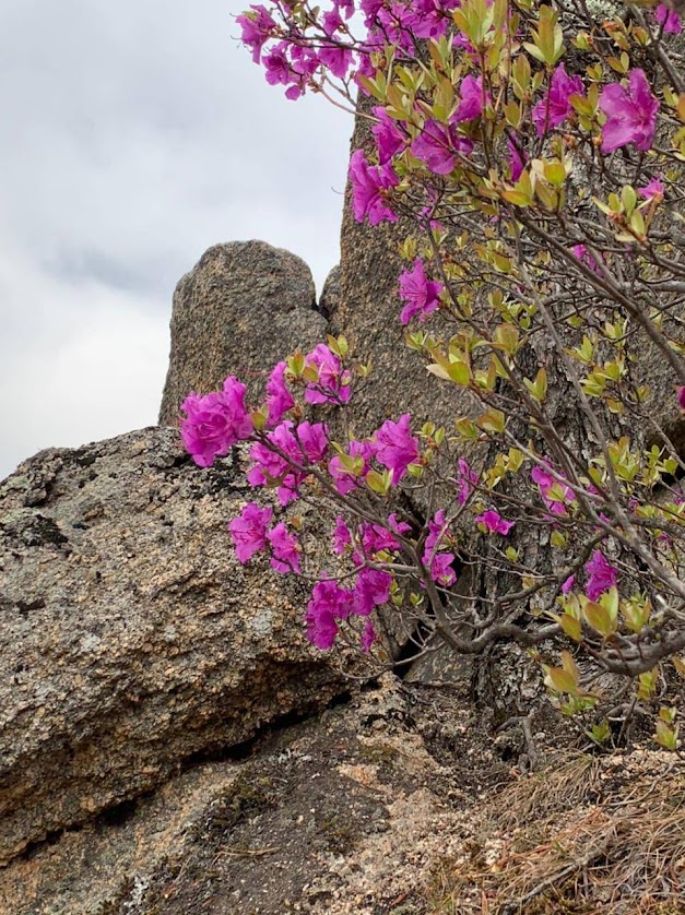 Из Владивостока — на сплав по рекам Приморья (7/7)