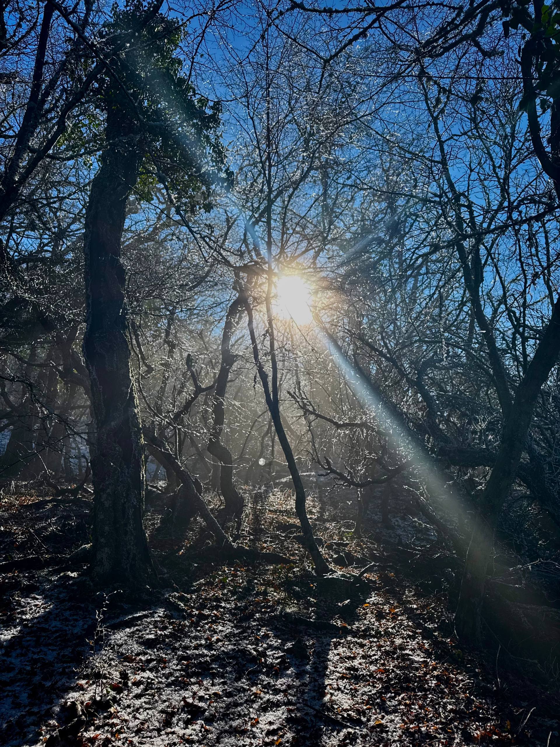 Чертова лестница: муза, тайны и проклятия. (7/7)