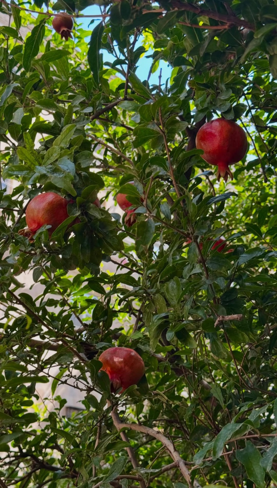 4 дня в Азербайджане. Лермонтов и путь для тех, кто чувствует (2/23)