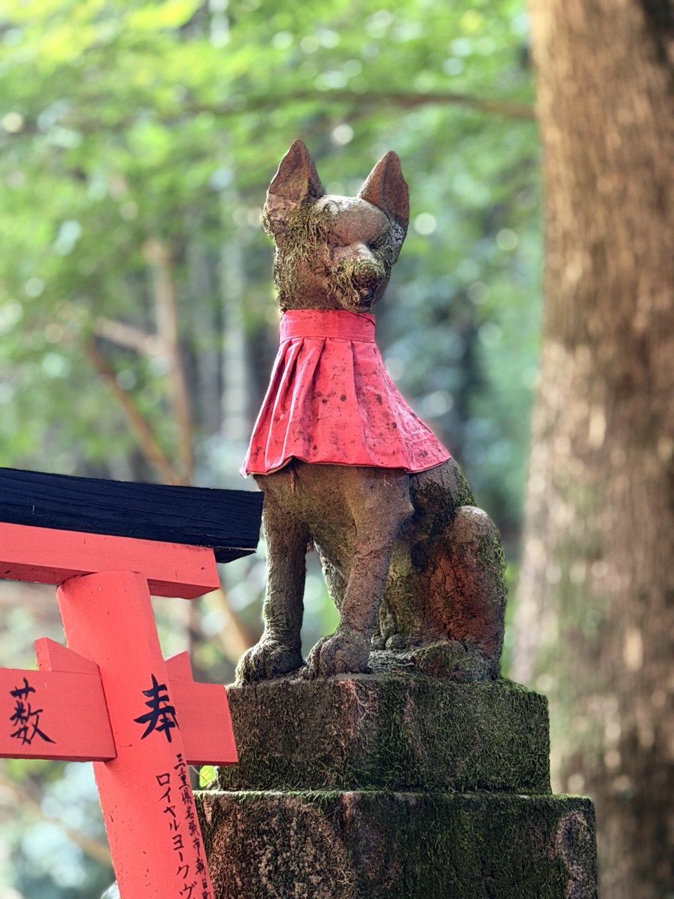 Тур Дух Японии (10/23)