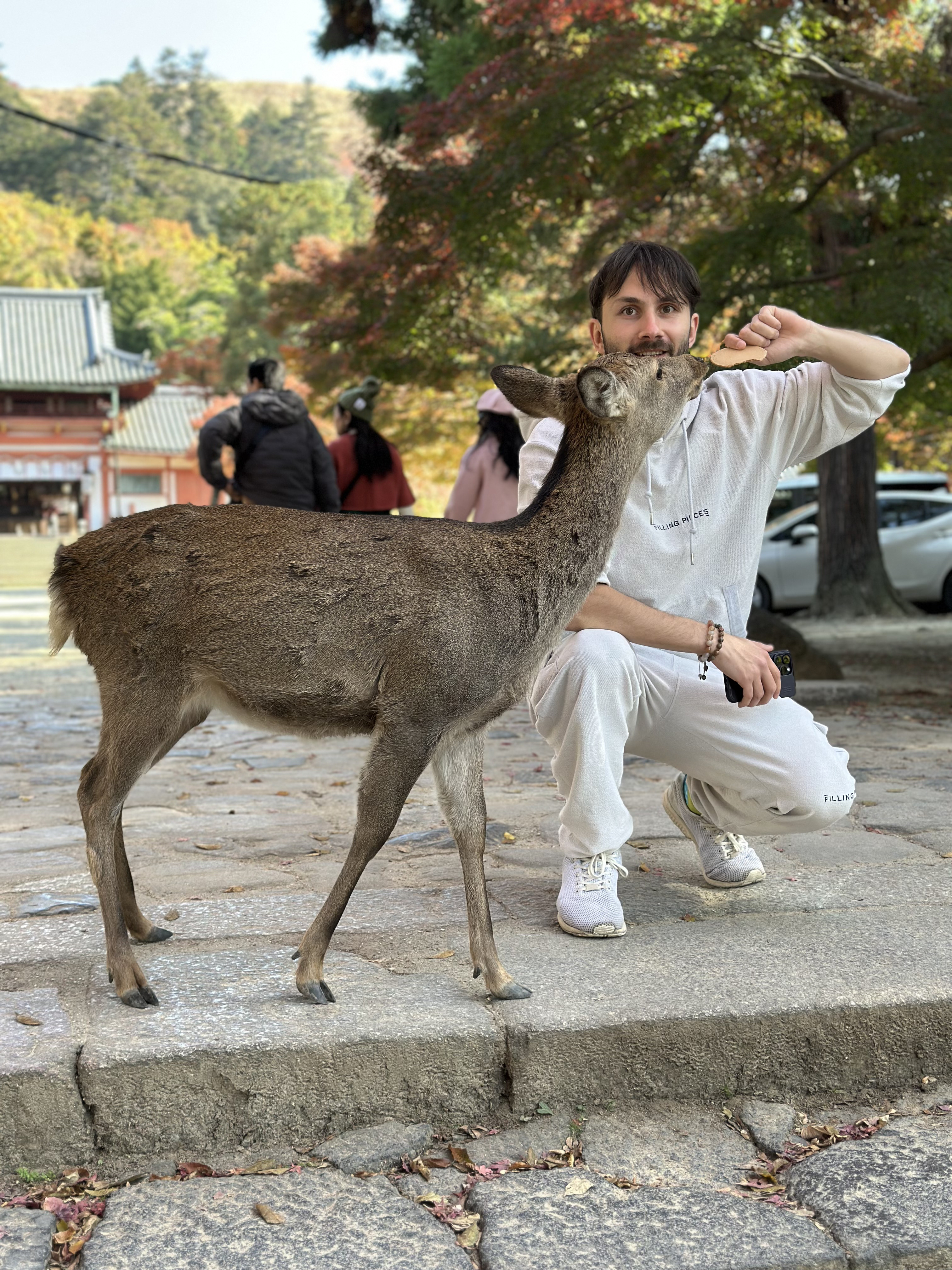 Японская Одиссея // Cheap (33/42)