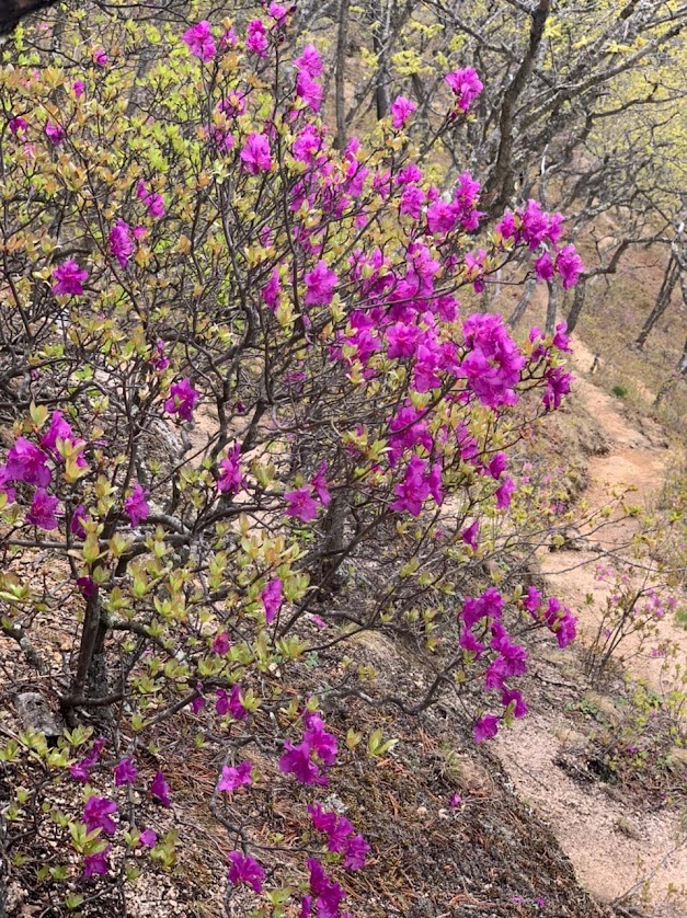 Из Владивостока — на сплав по рекам Приморья (3/7)