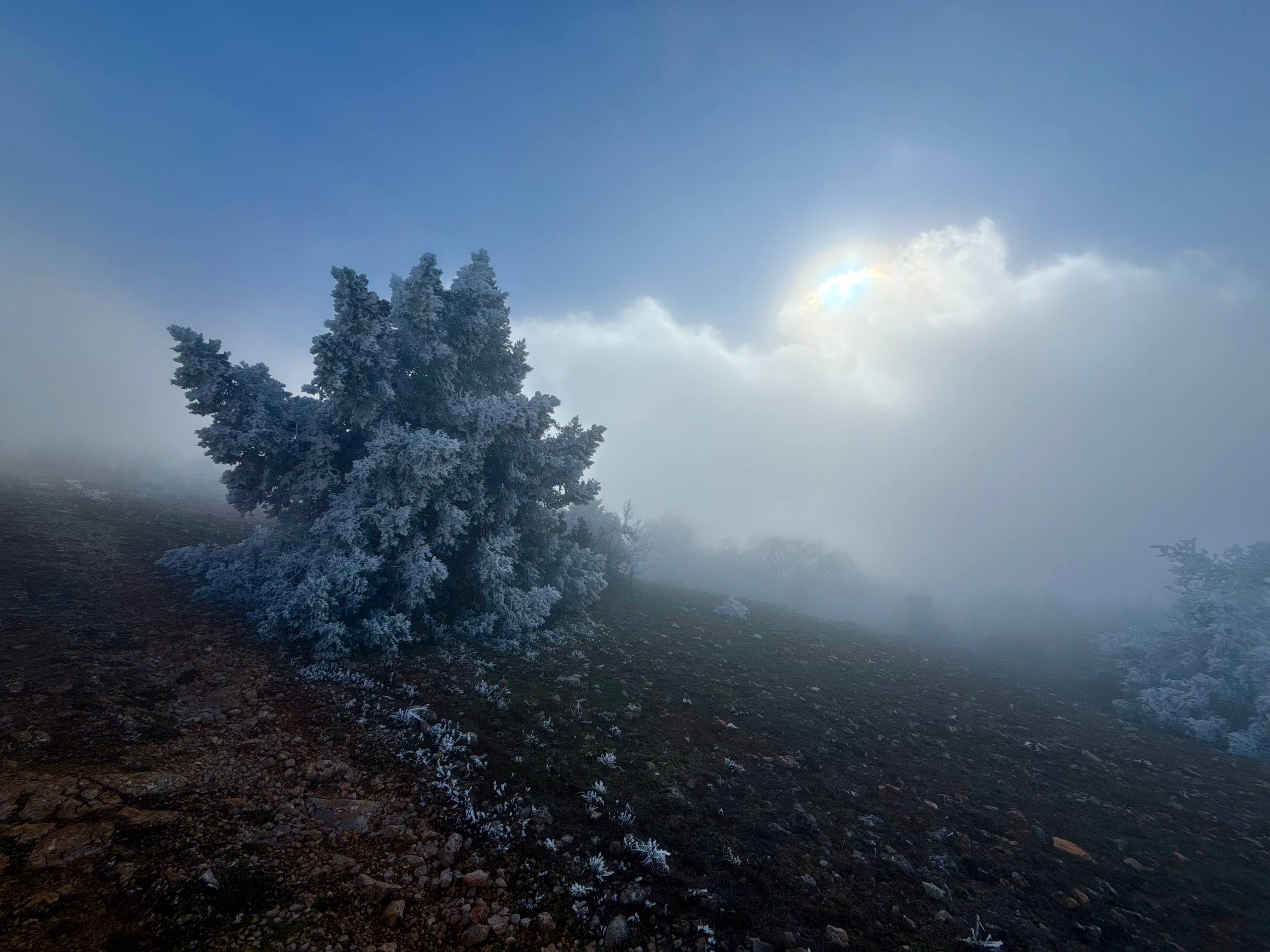 Чертова лестница: муза, тайны и проклятия. (6/7)