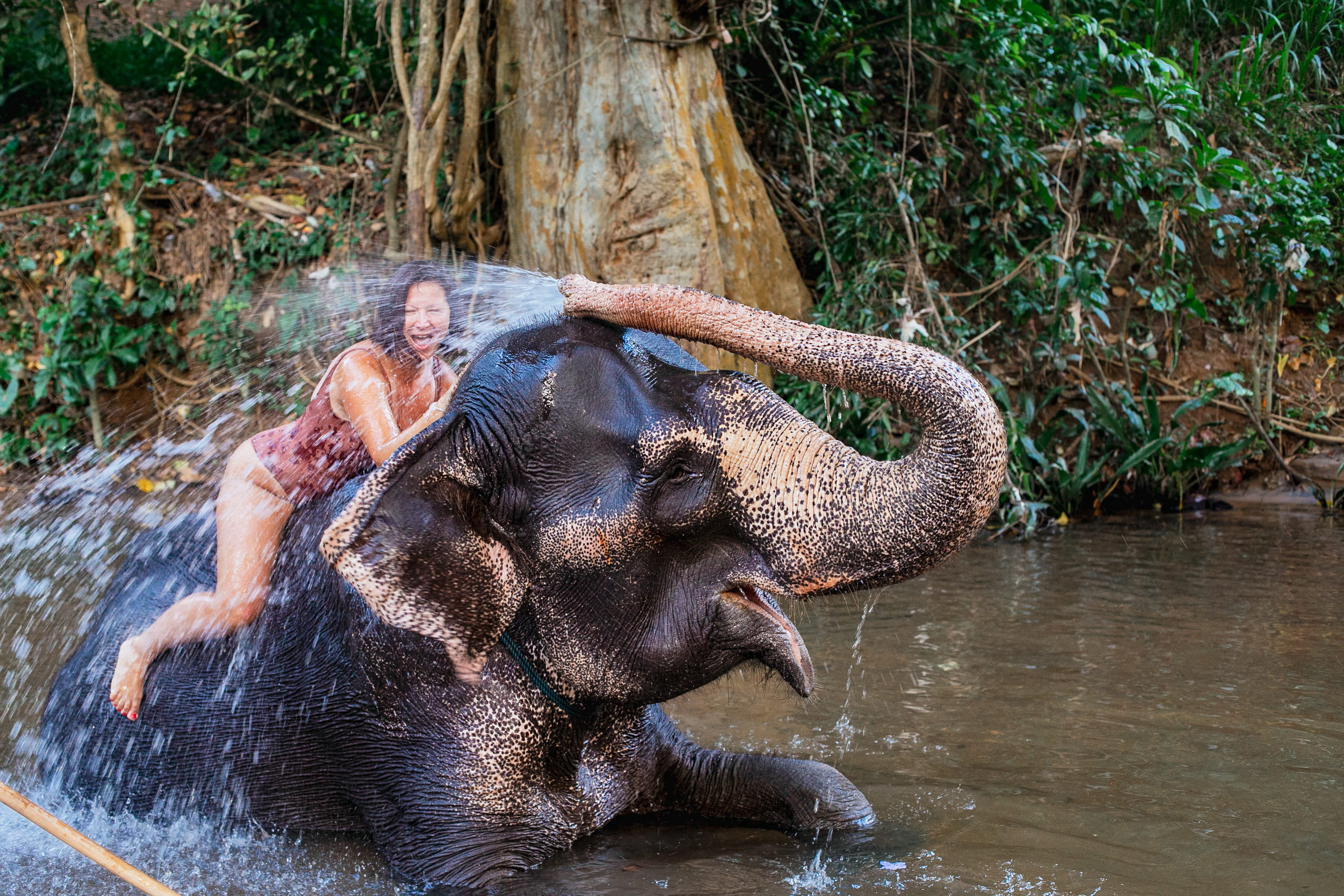 Шри-Ланка: главное на суше + океанский круиз (19/38)