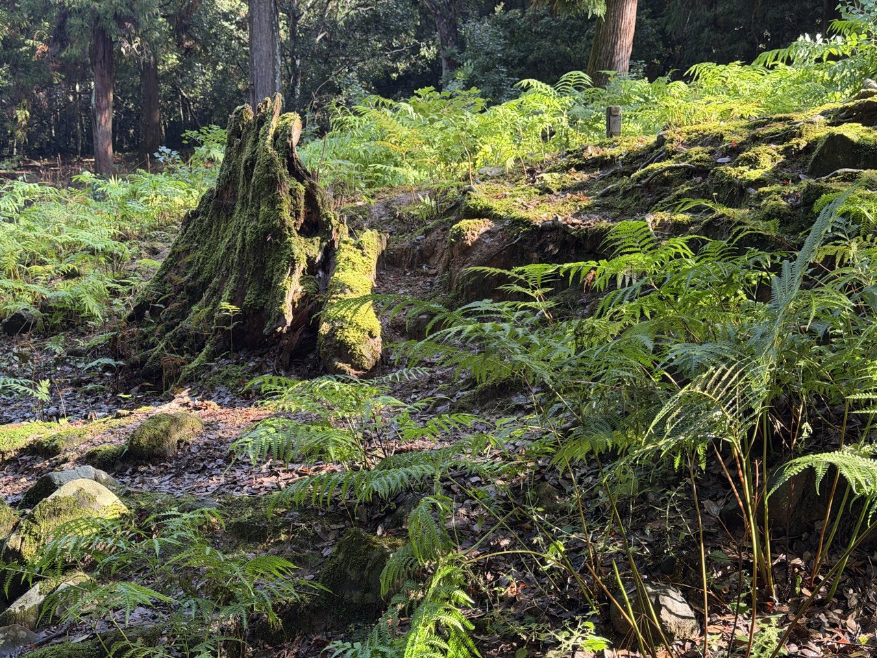 Тур Дух Японии (2/23)