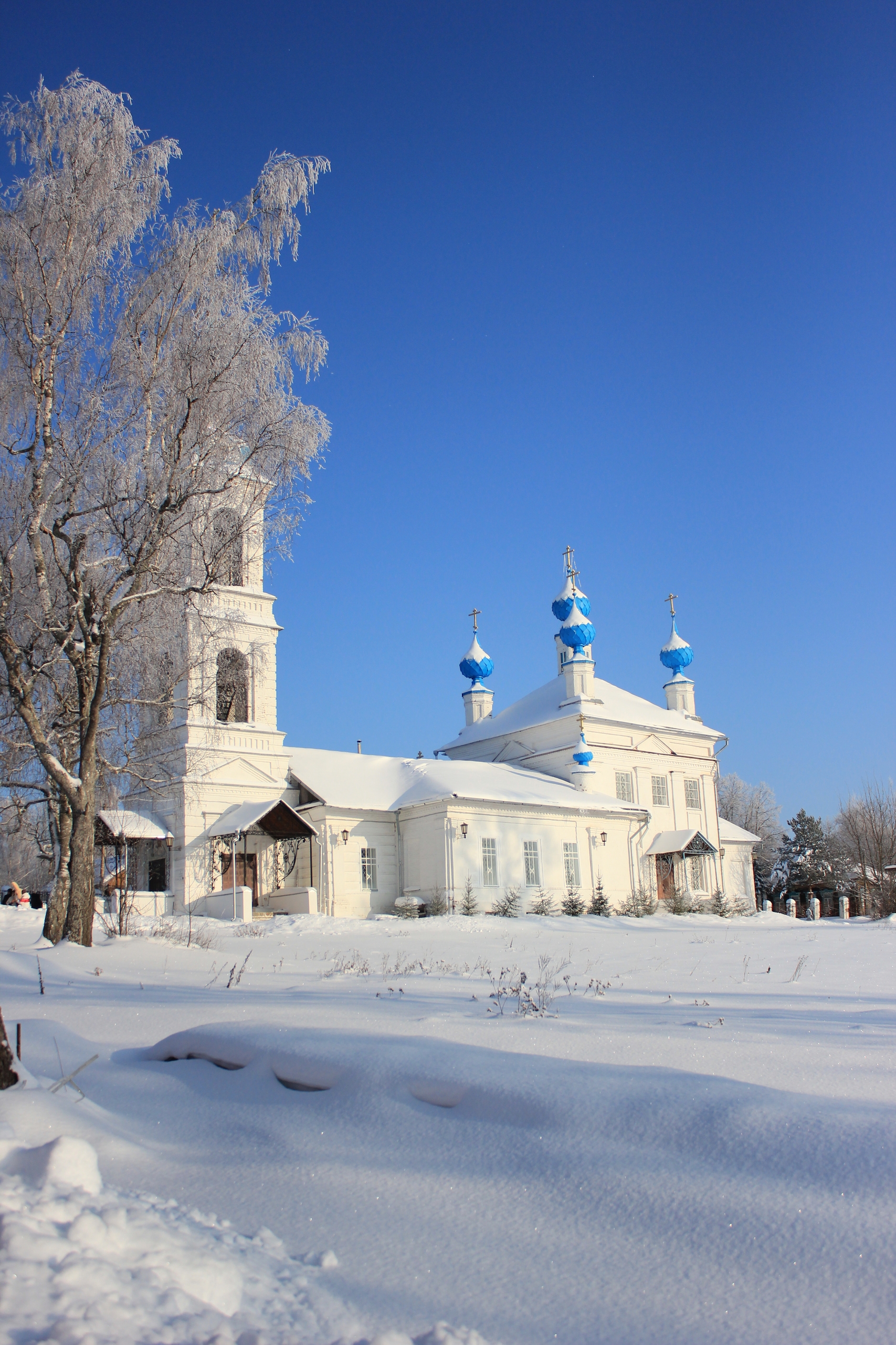 Кострома - по следам Ивана Сусанина (15/21)