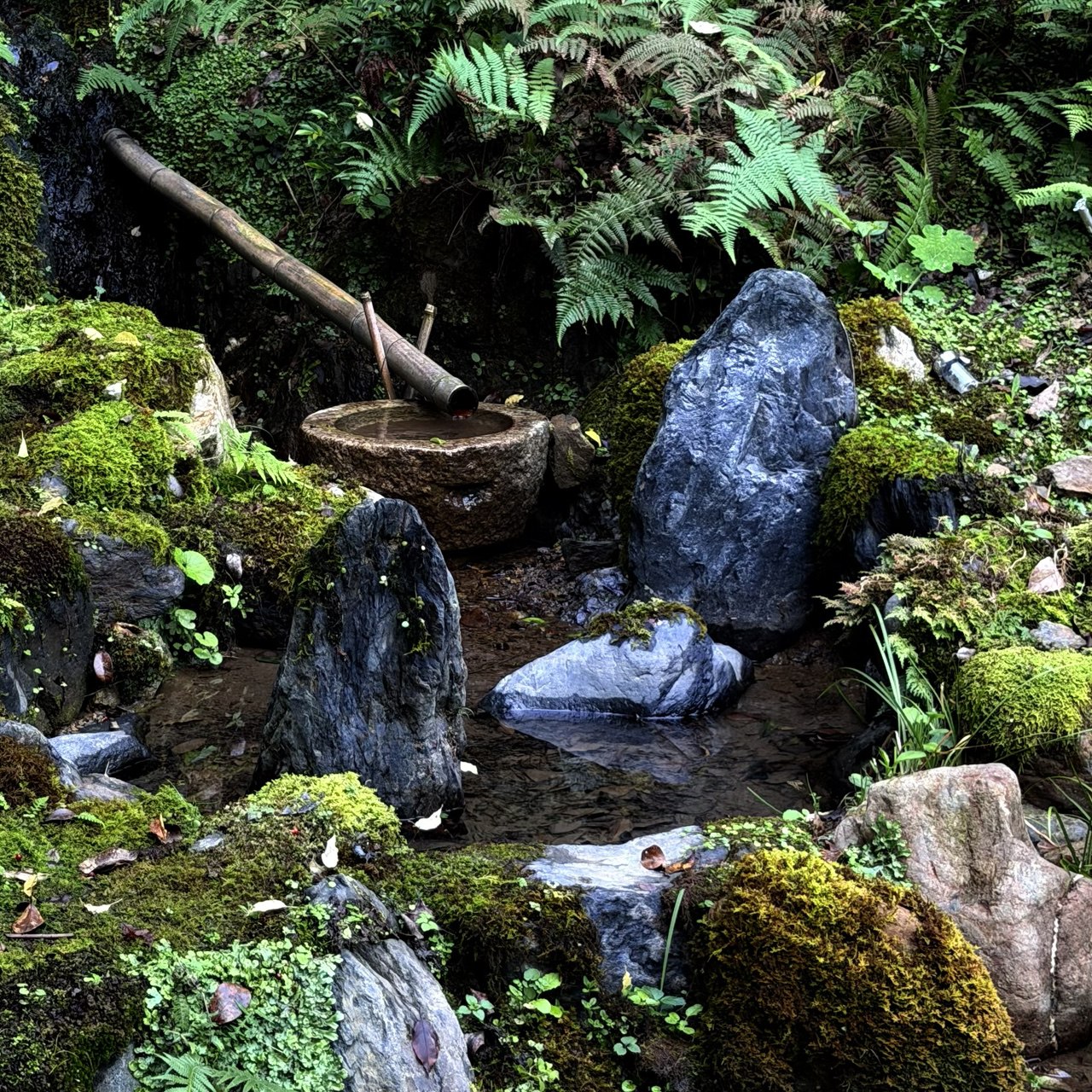 Тур Дух Японии (3/23)
