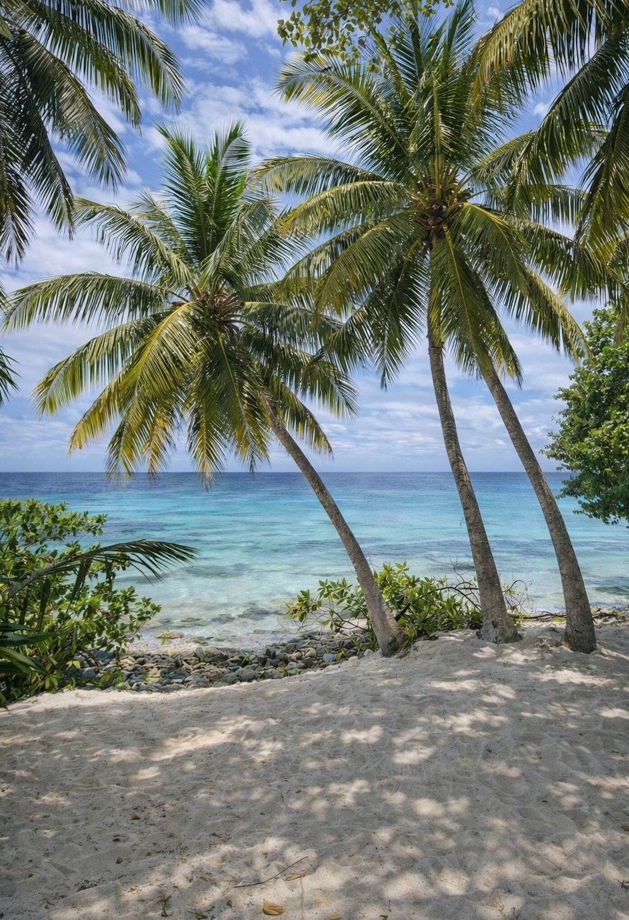 Мальдивы на 10 дней! Всё включено! Питание, проживание, трансфер, экскурсии, рыбалка (6/10)