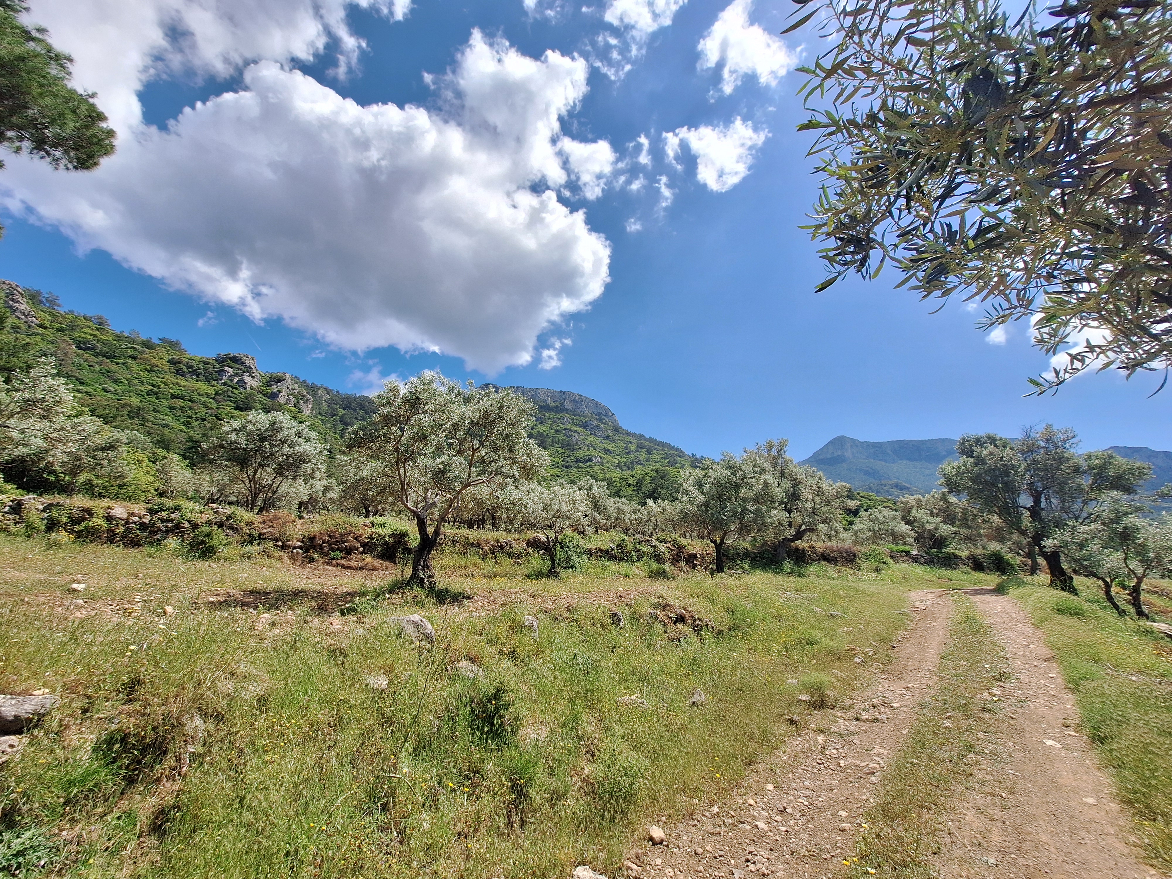 Поход по Карийской тропе - Прогулки по Турции вдоль моря (8/19)