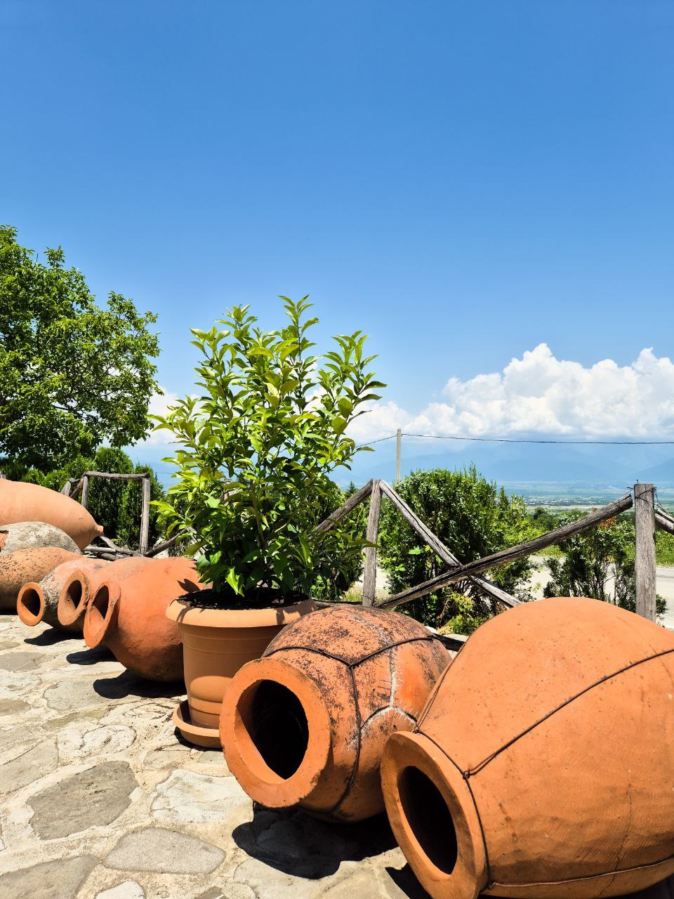 С видом на Казбек! 7 топовых локаций Грузии в одном туре! (37/48)