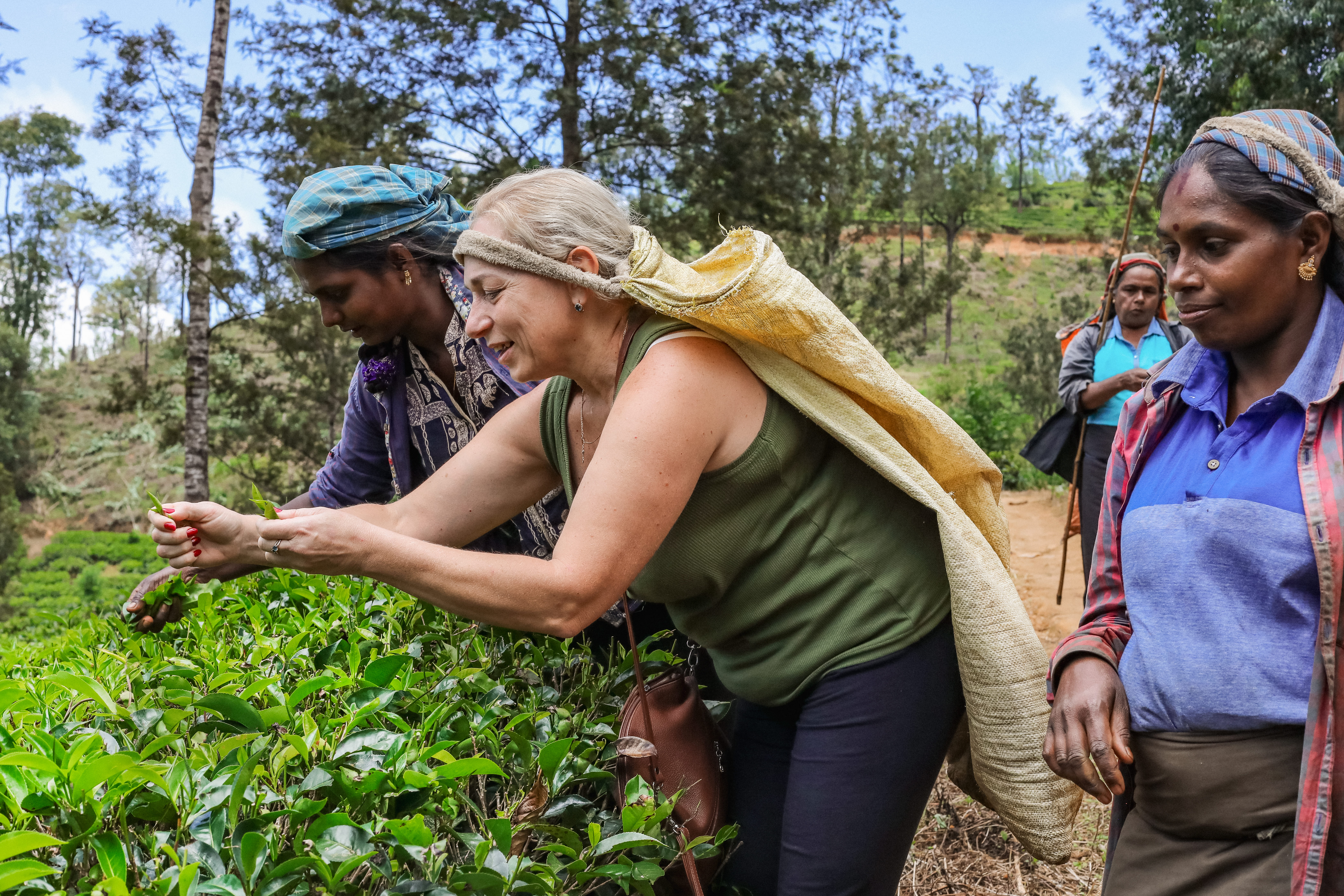 Шри-Ланка: главное на суше + океанский круиз (17/38)