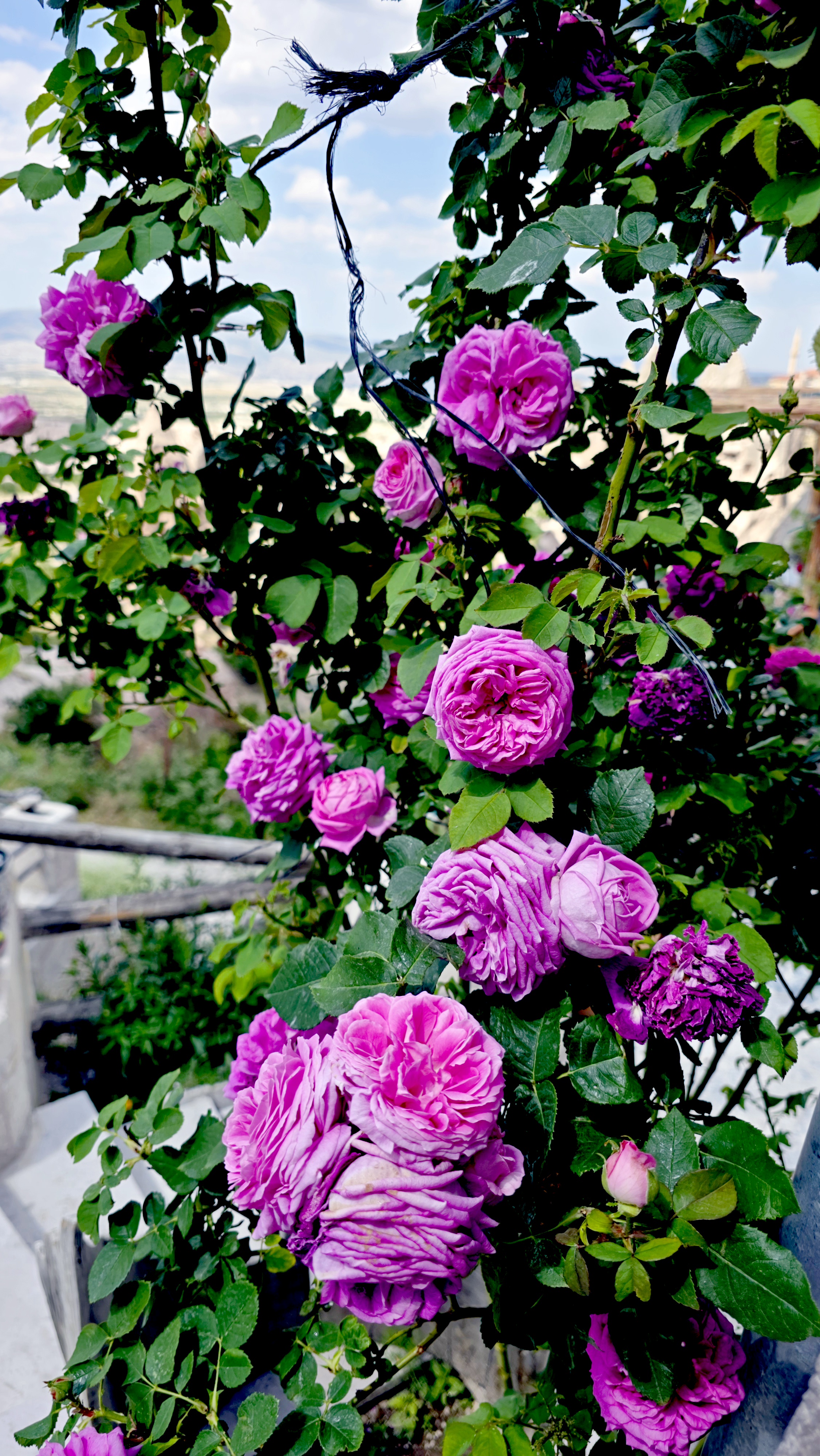 Горизонты Каппадокии — на воздушном шаре в Гёреме (9/12)