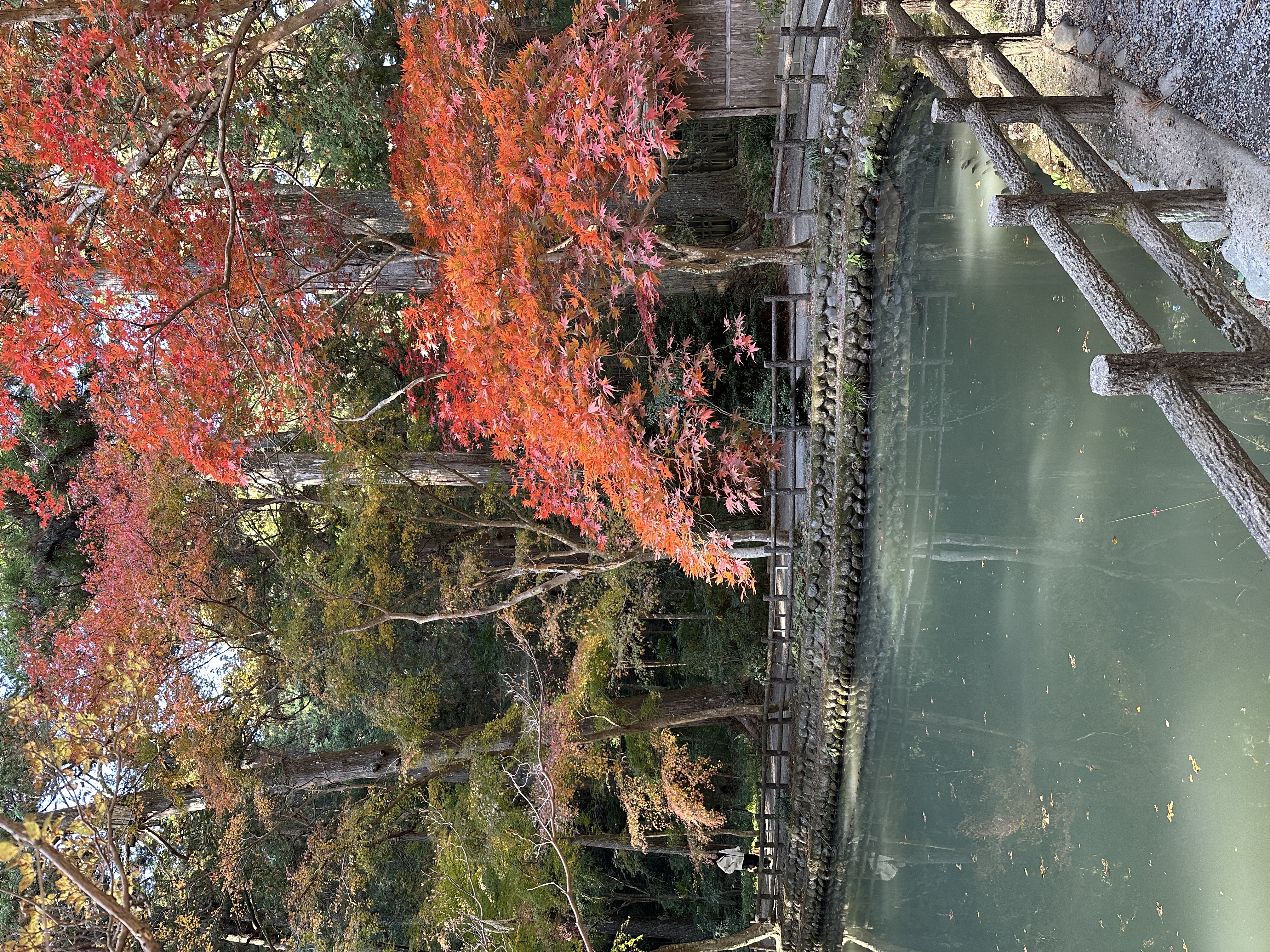 Японская Одиссея // Cheap (26/42)