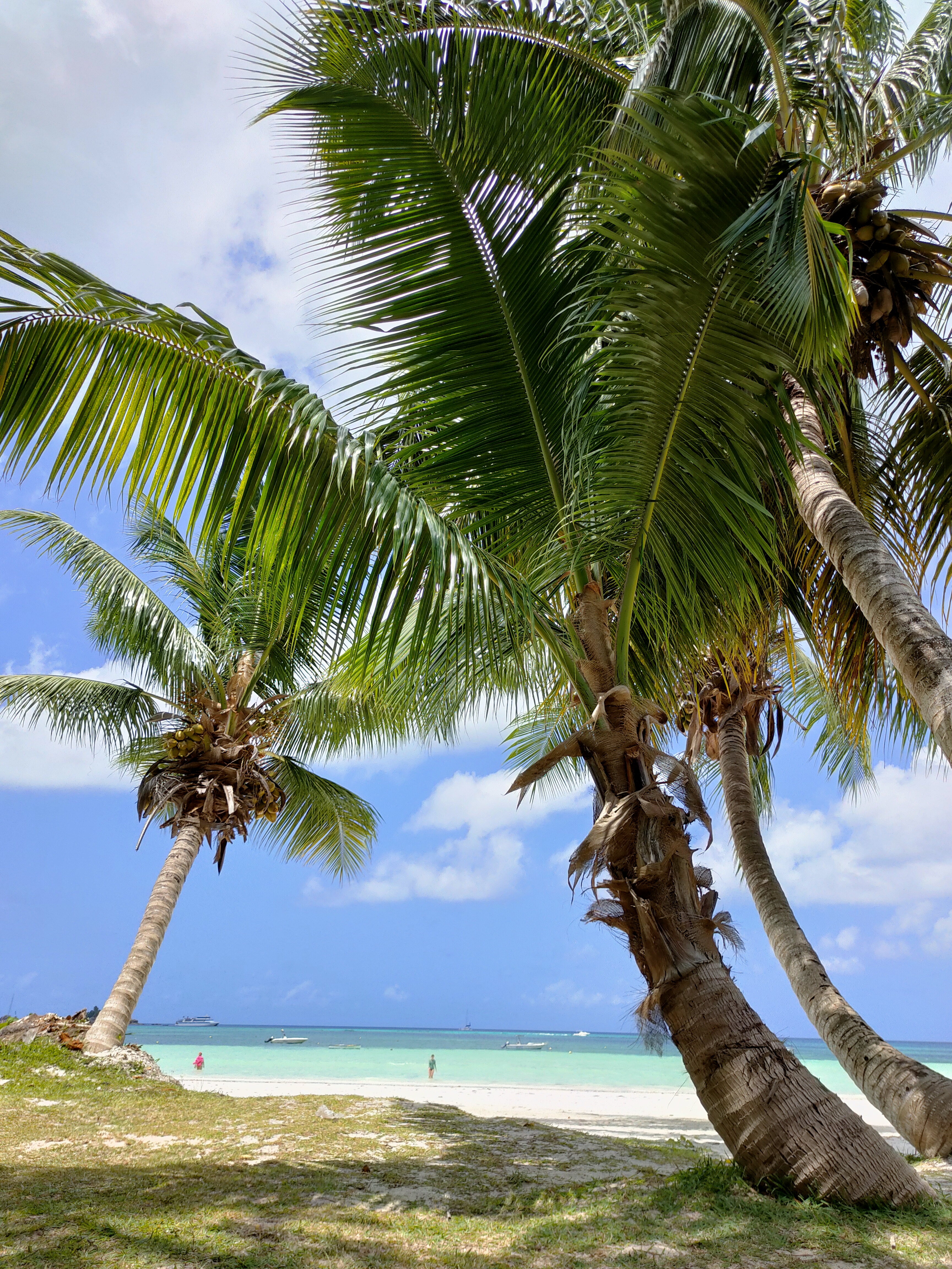 Сейшелы на катамаранах: 7 островов за 7 дней (7/21)