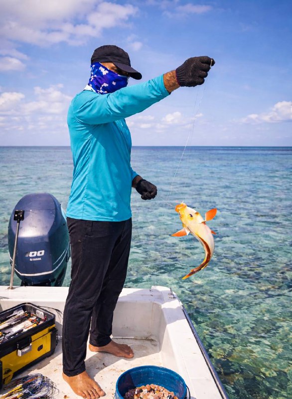 Мальдивы на 10 дней! Всё включено! Питание, проживание, трансфер, экскурсии, рыбалка (3/10)