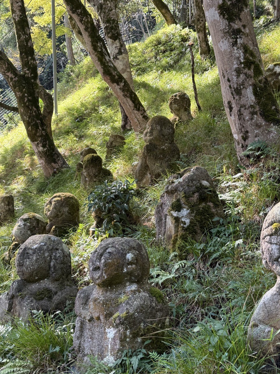 Тур Дух Японии (8/23)