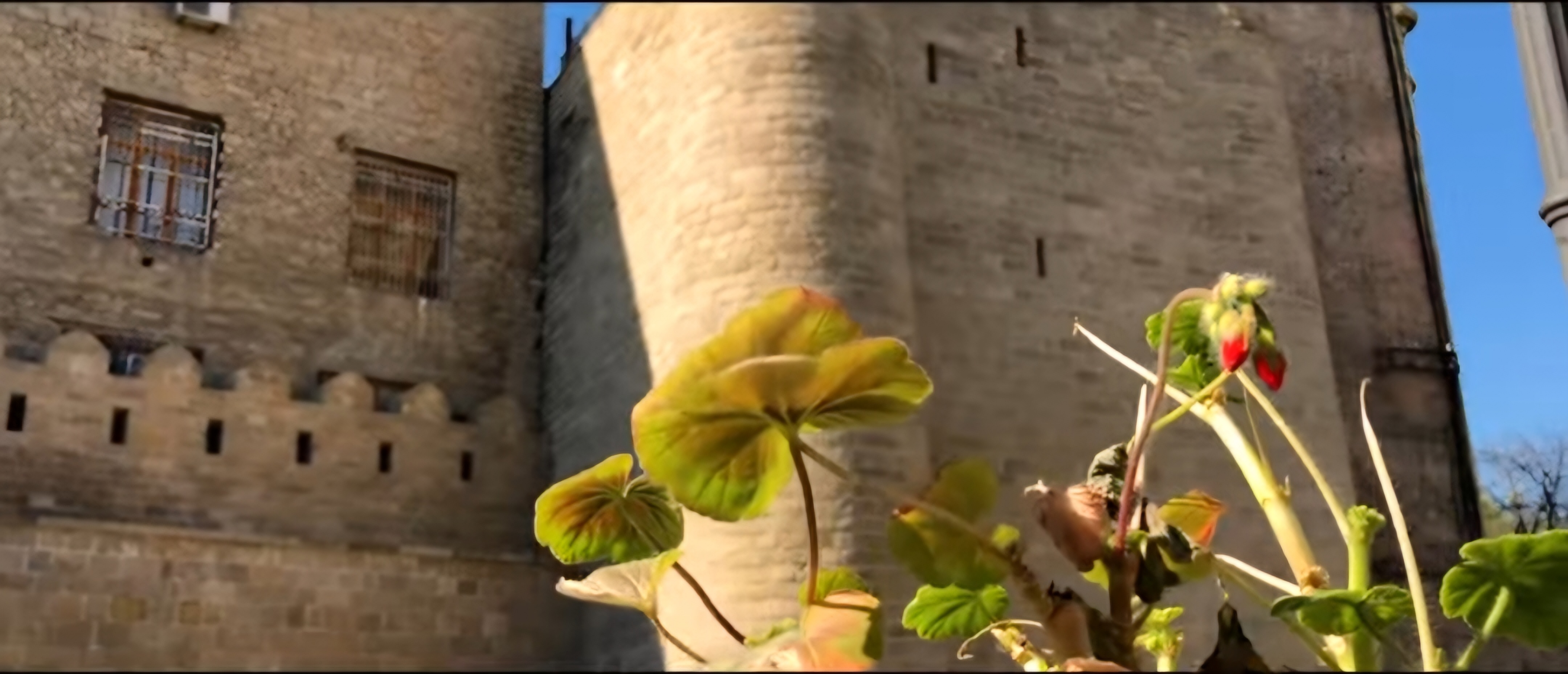 4 дня в Азербайджане. Лермонтов и путь для тех, кто чувствует (6/23)