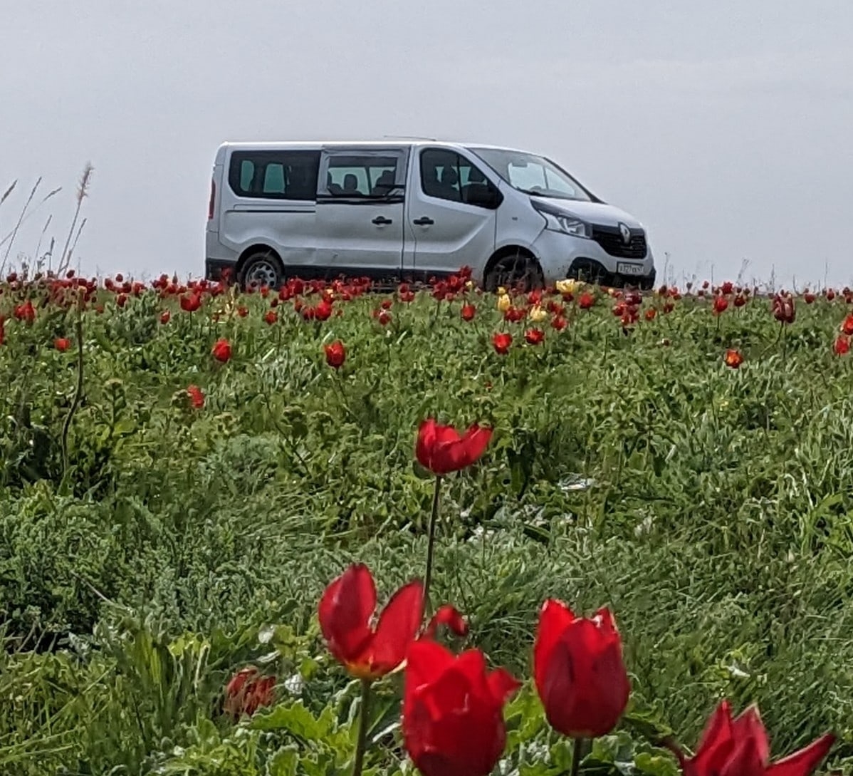 Калмыкия. Тюльпаны степи и буддийская тишина (18/37)