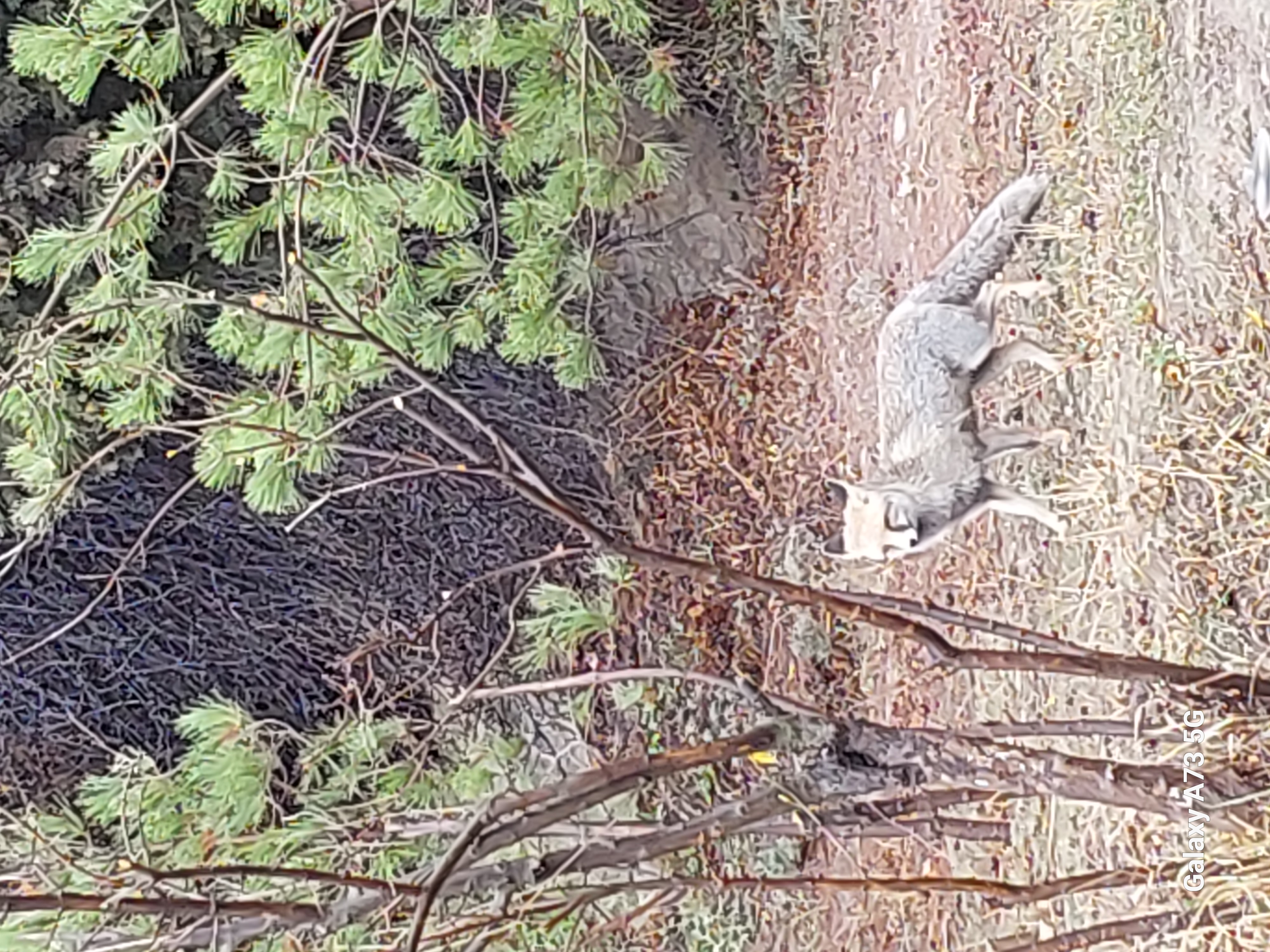 Юг Азербайджана за один день:от пещер Гобустана до субтропиков Ленькорани (63/75)