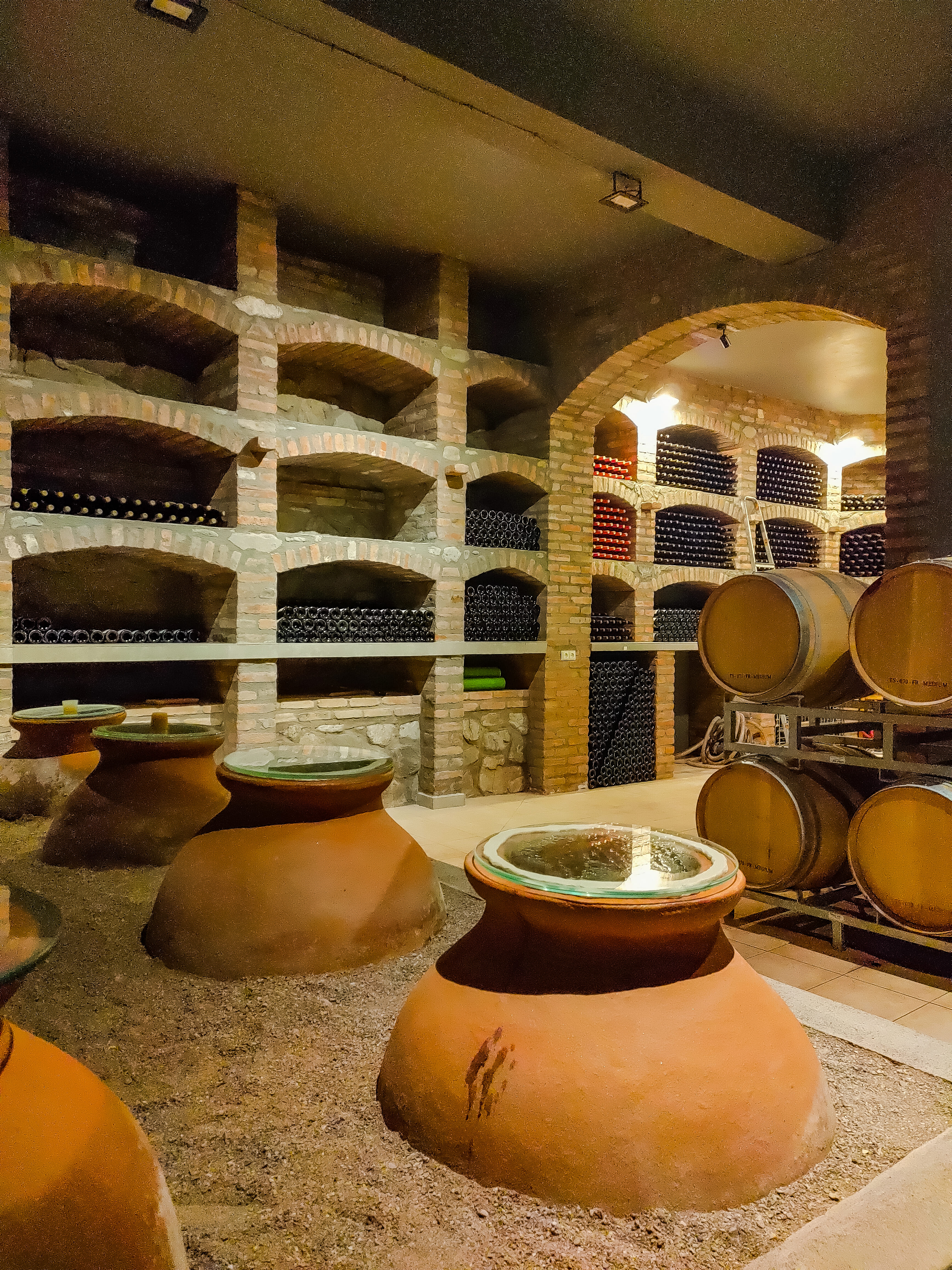 По Грузии на Автодомах (21/27)