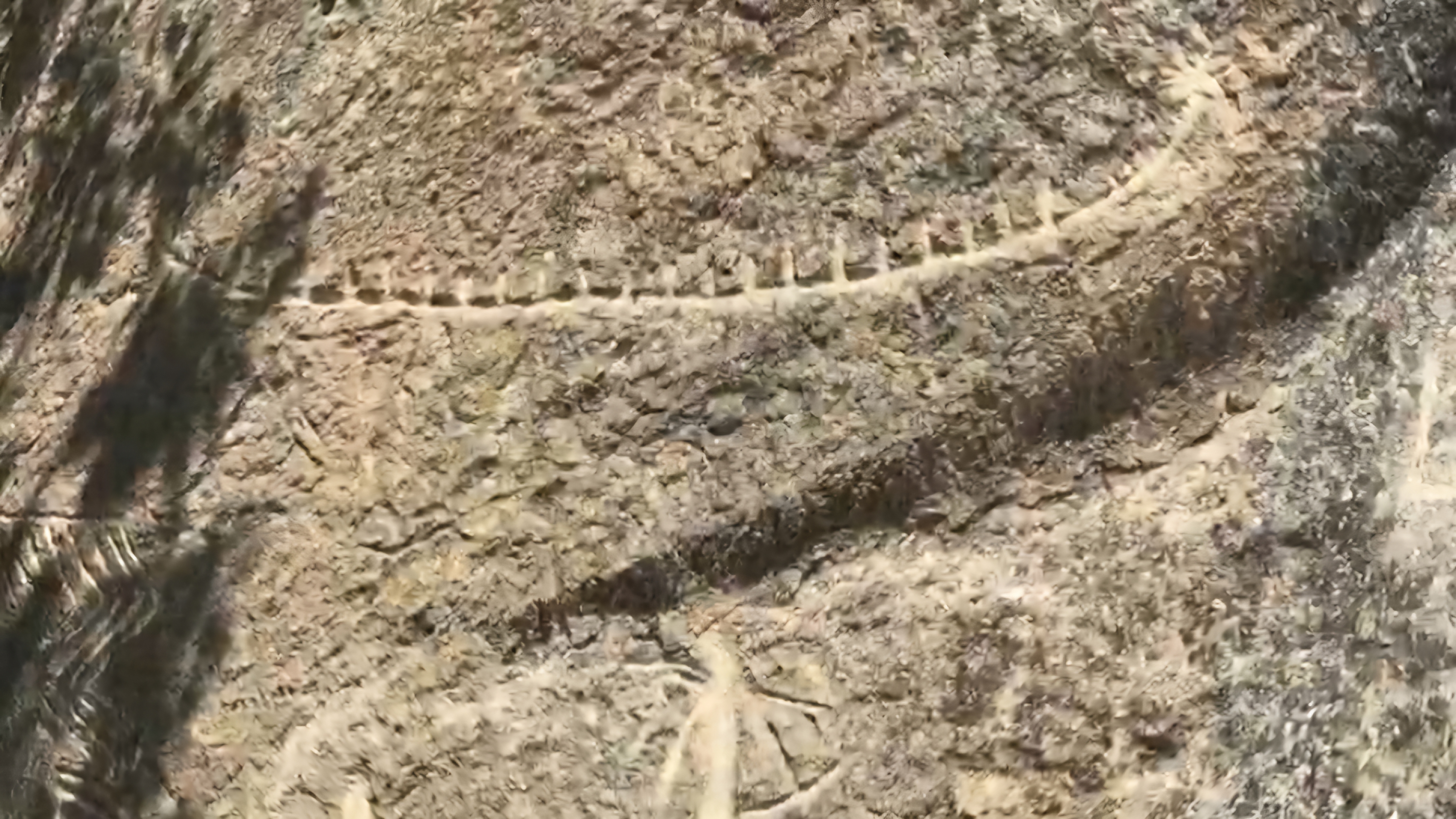 Юг Азербайджана за один день:от пещер Гобустана до субтропиков Ленькорани (56/75)