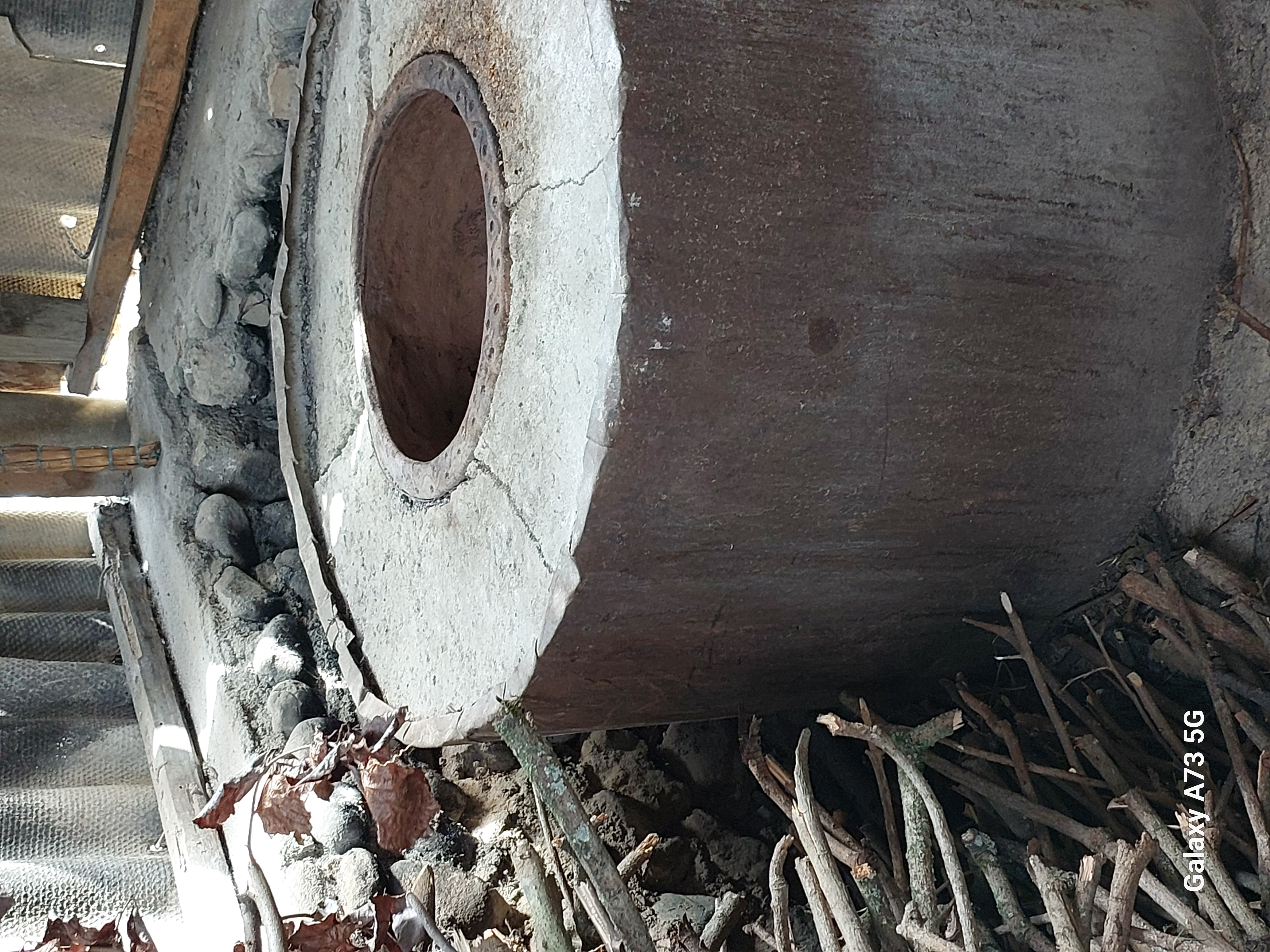 Юг Азербайджана за один день:от пещер Гобустана до субтропиков Ленькорани (2/75)