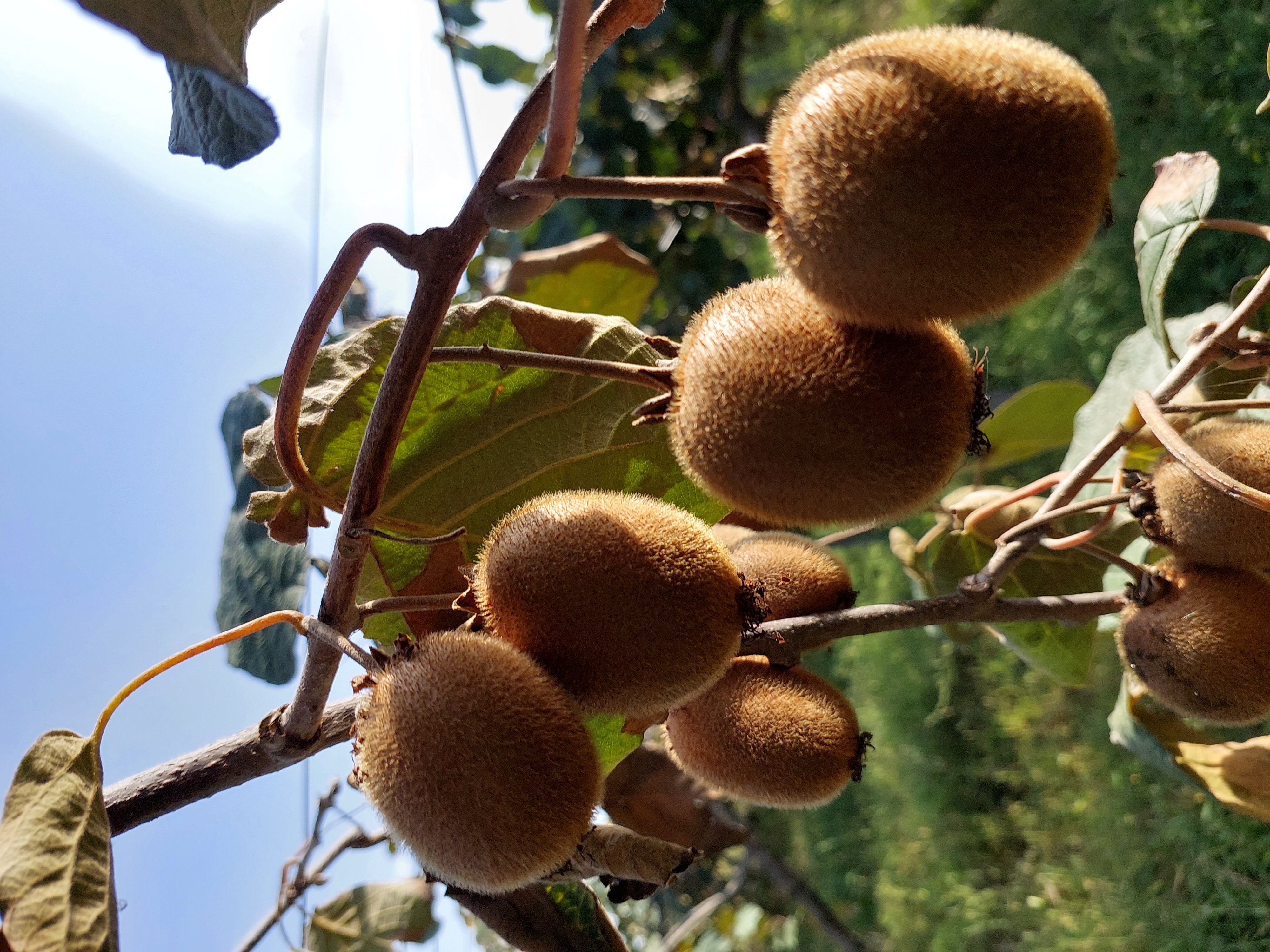 Юг Азербайджана за один день:от пещер Гобустана до субтропиков Ленькорани (16/75)