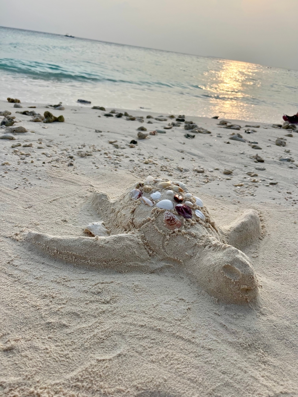 Насыщенные Мальдивы! Программа Максимум! Все Включено! 3 острова! (4/24)