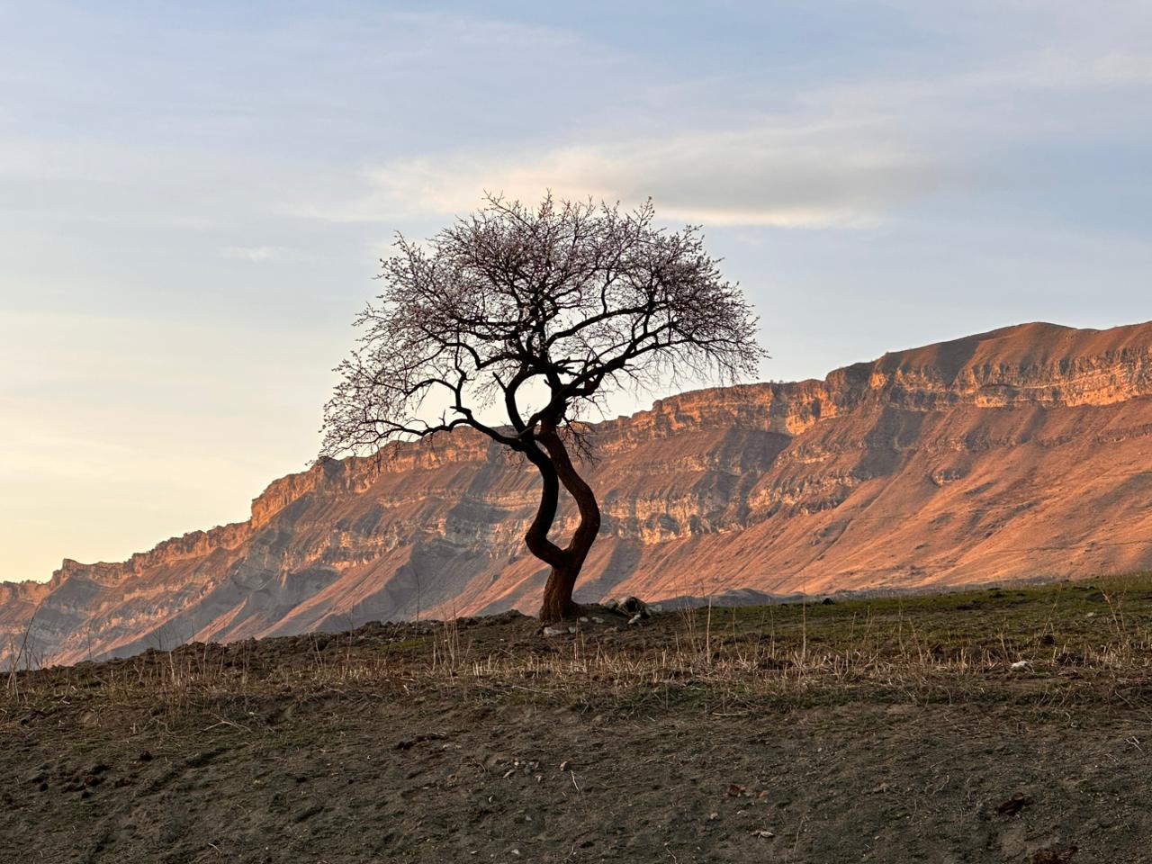 Вальс Цветов.  5 дней весны (27/71)