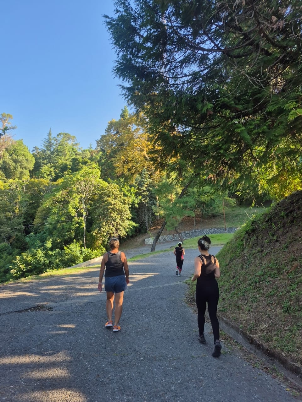 Активный тур в Абхазию: экскурсии, фитнес, море (16/55)