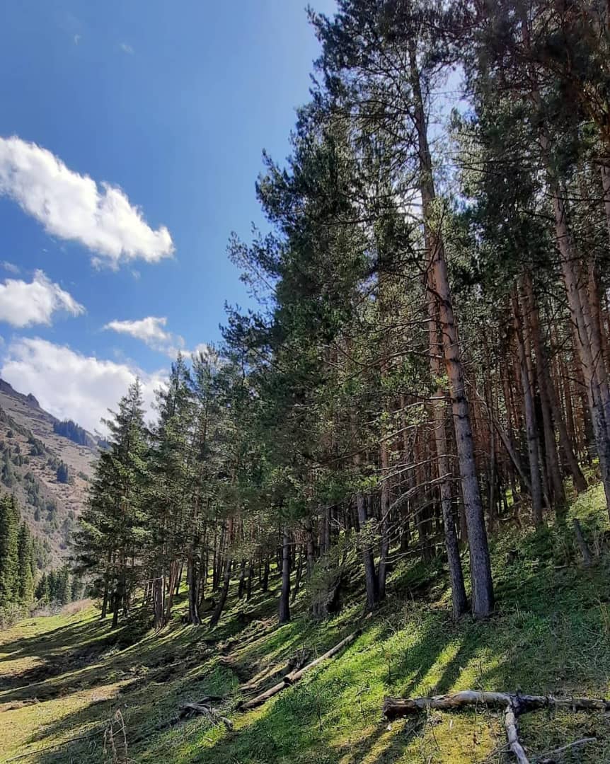 Весенняя Киргизия в мини-группе на джипах (15/29)