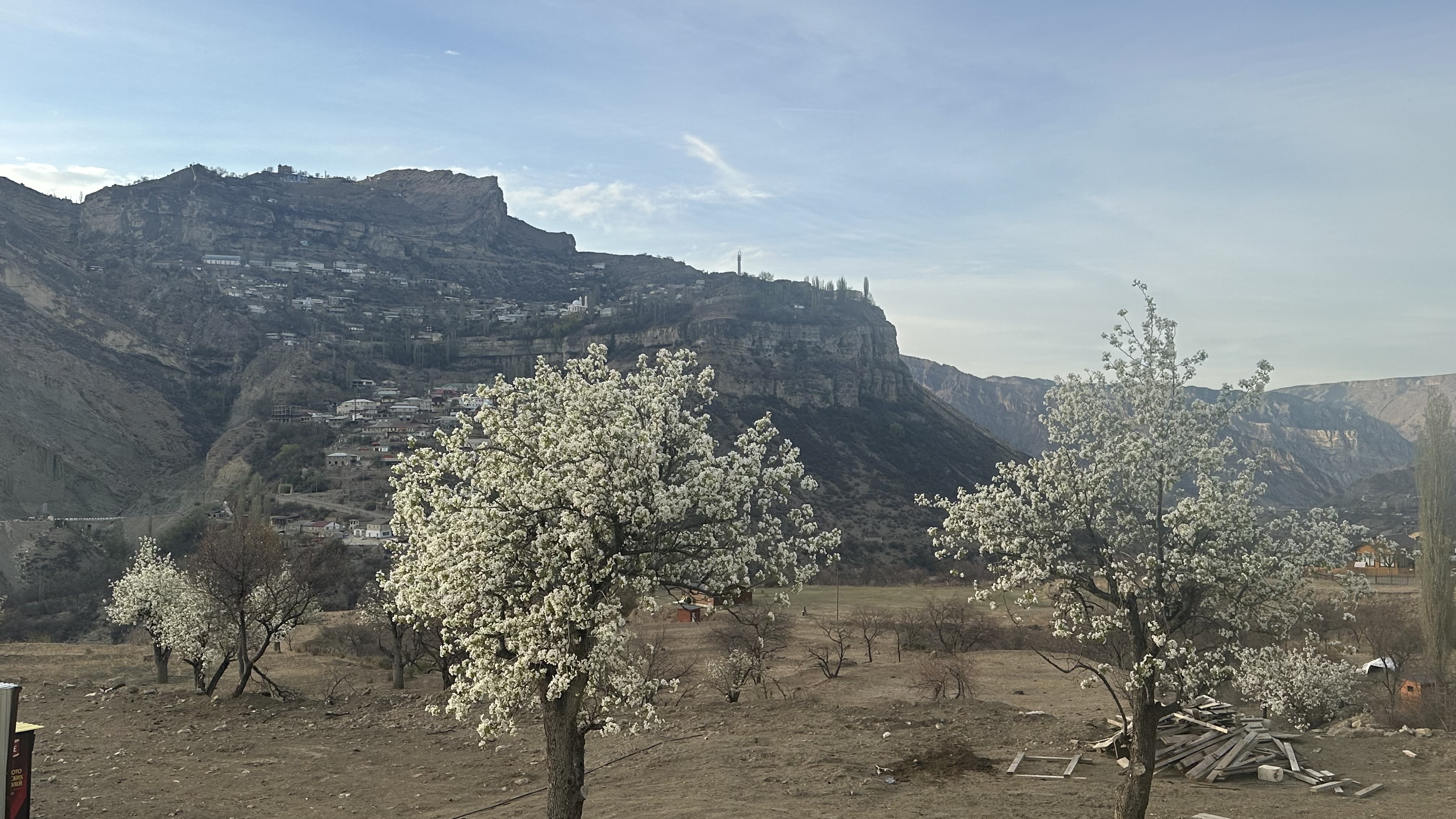 Вальс Цветов.  5 дней весны (52/71)