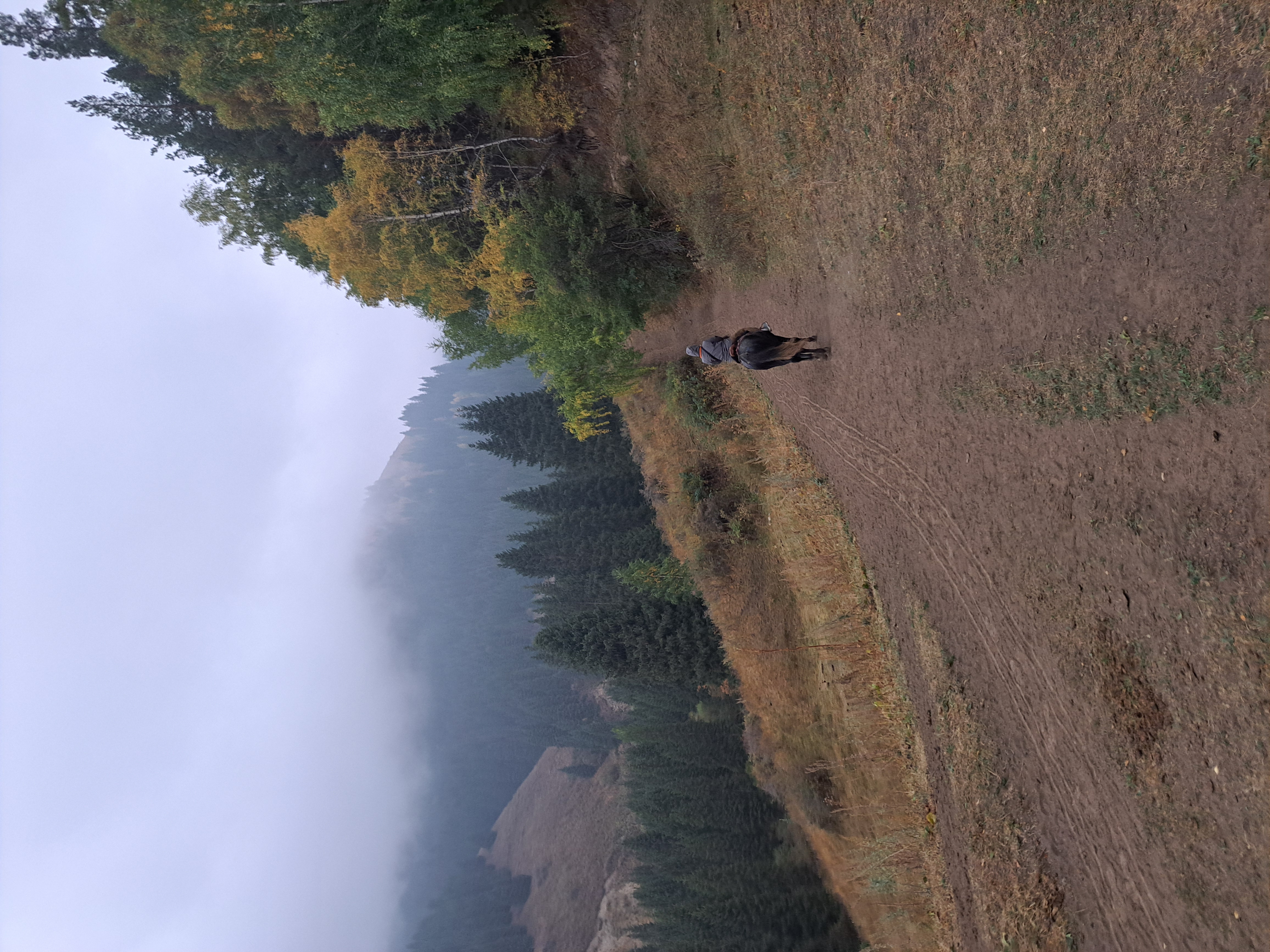 Весенняя Киргизия в мини-группе на джипах (4/29)