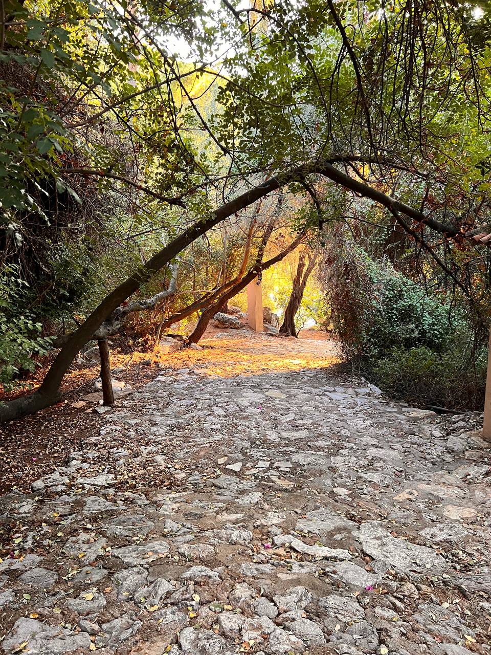 Комфорт и дикая природа: парусное путешествие на яхте по Турции (2/22)