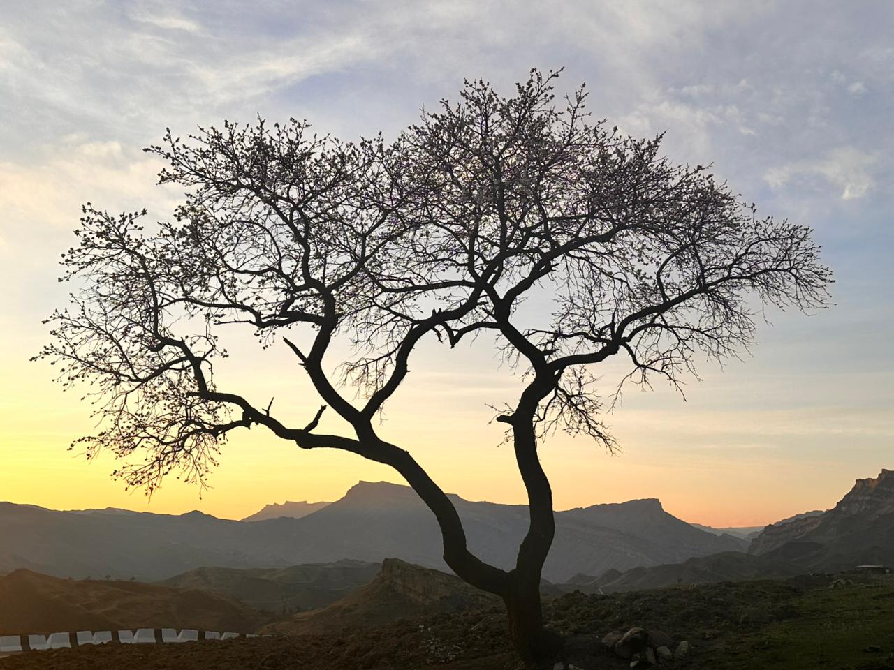 Вальс Цветов.  5 дней весны (24/71)