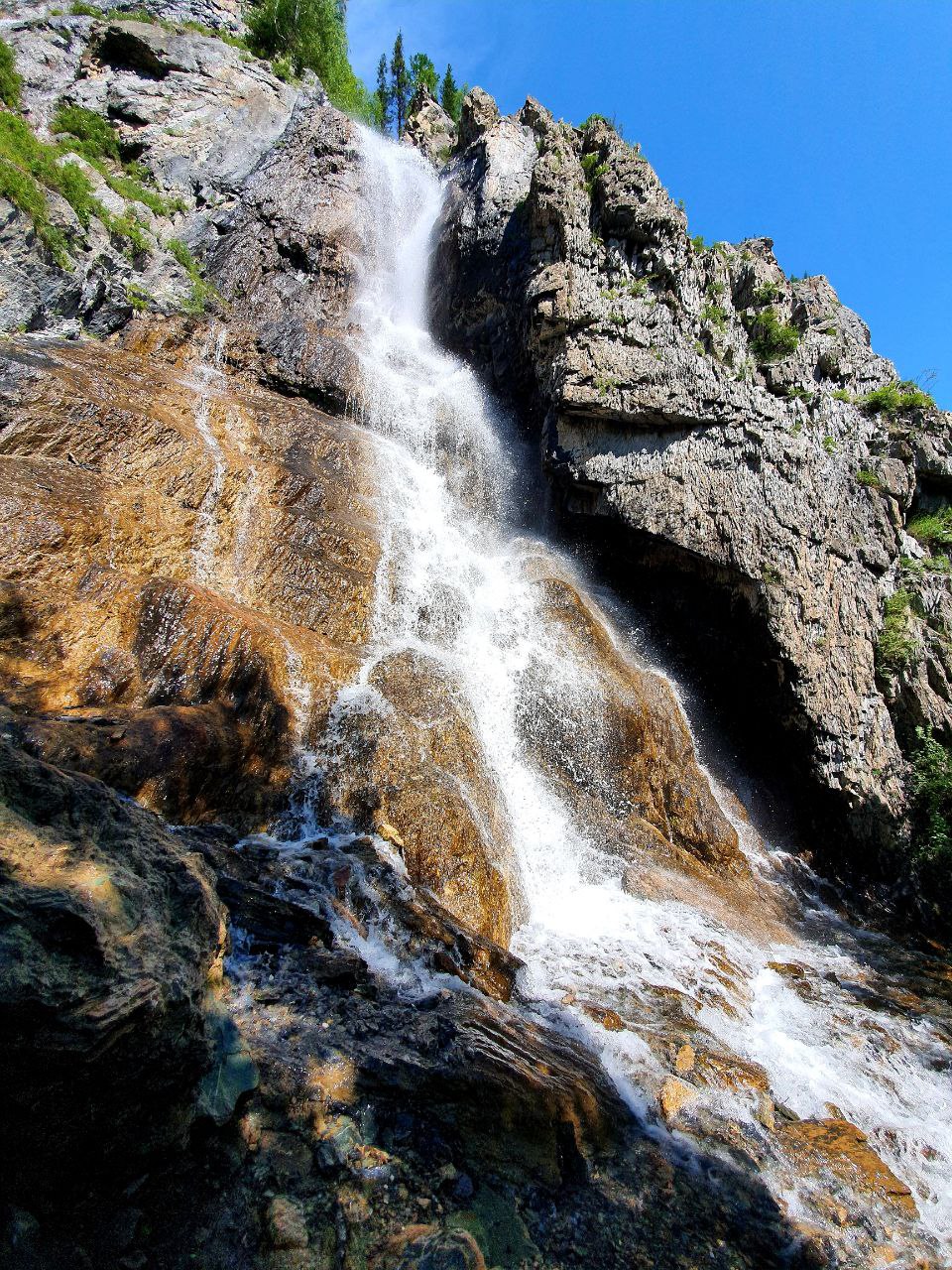 Весенний Алтай. Цветущие горы. (11/15)