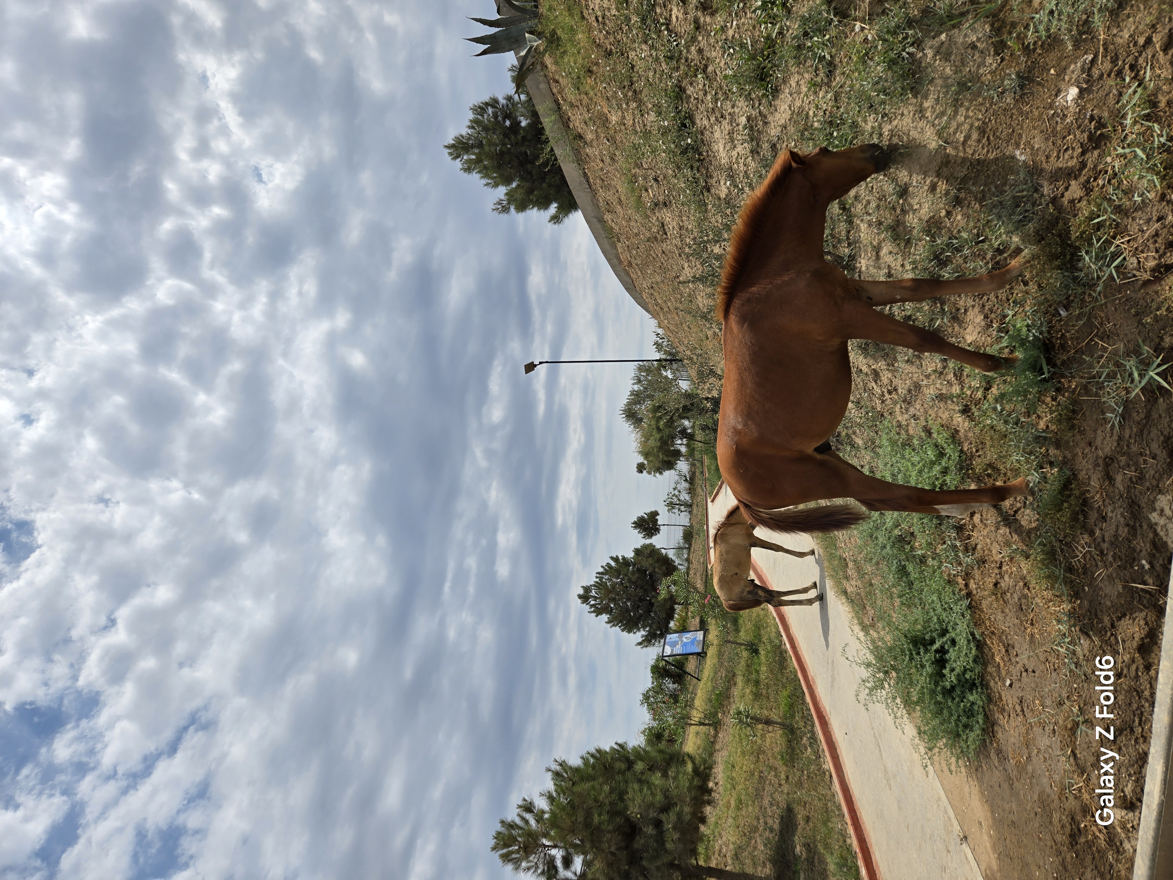 Юг Азербайджана за один день:от пещер Гобустана до субтропиков Ленькорани (48/75)