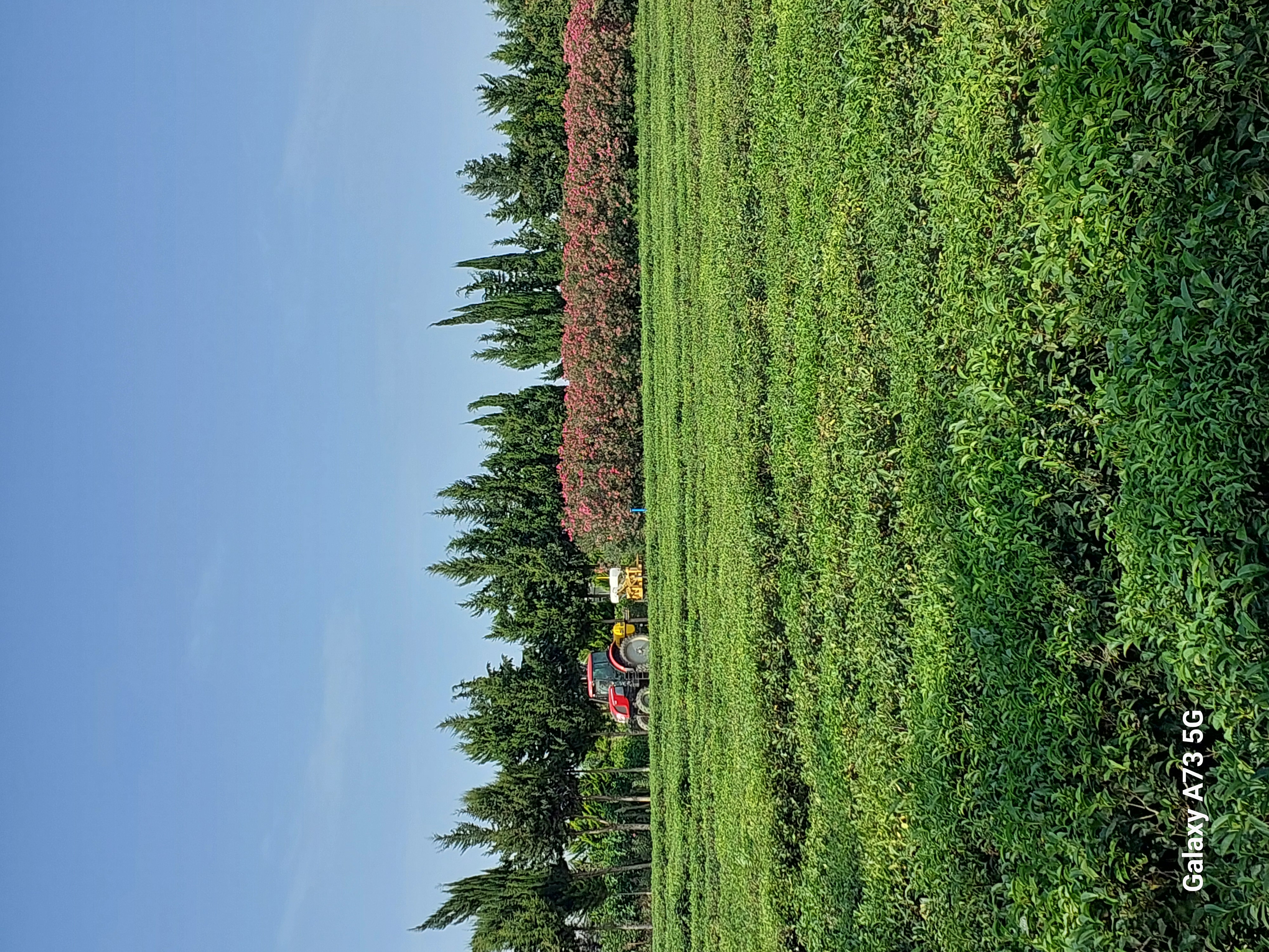 Юг Азербайджана за один день:от пещер Гобустана до субтропиков Ленькорани (28/75)