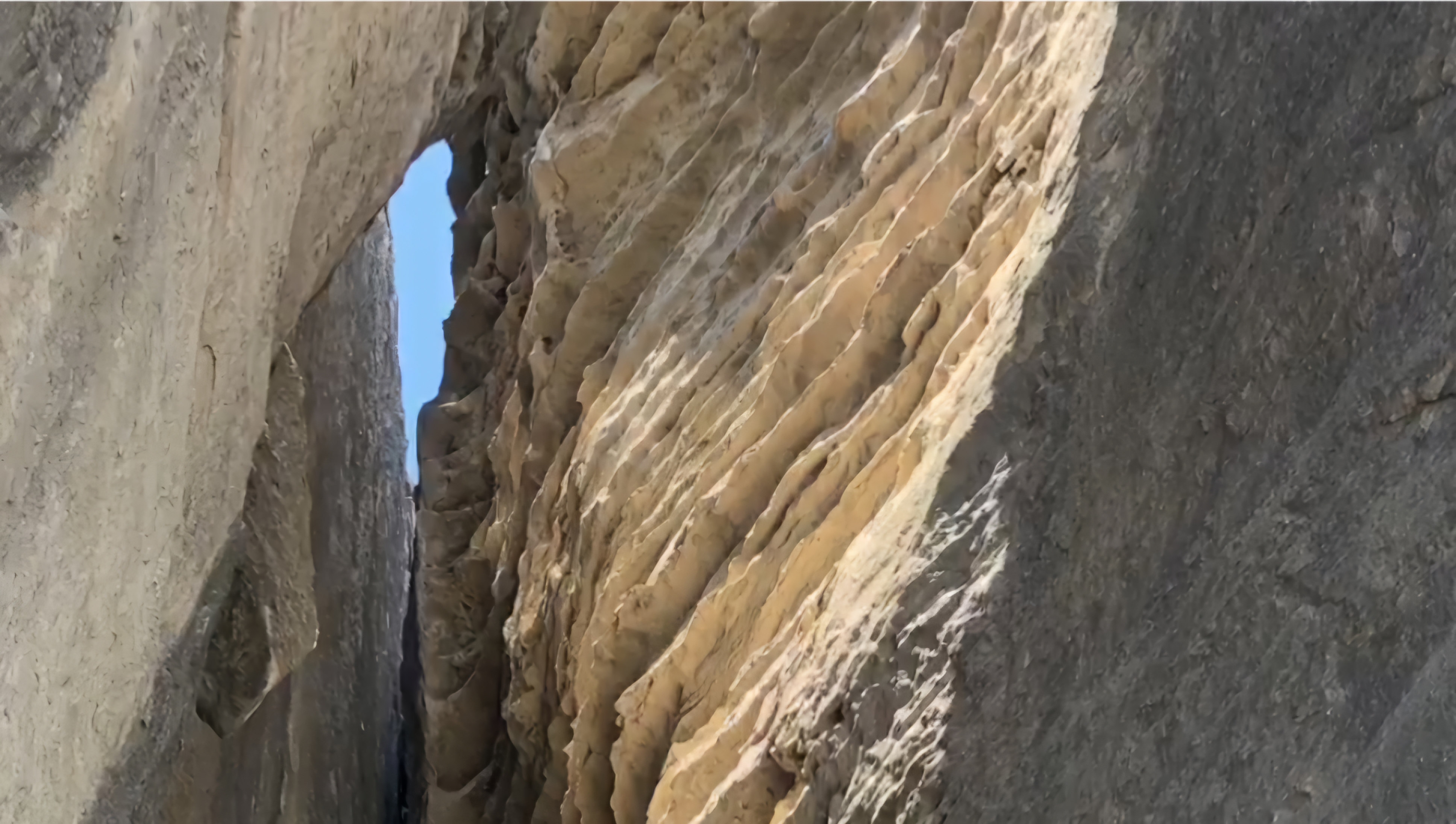 Юг Азербайджана за один день:от пещер Гобустана до субтропиков Ленькорани (53/75)