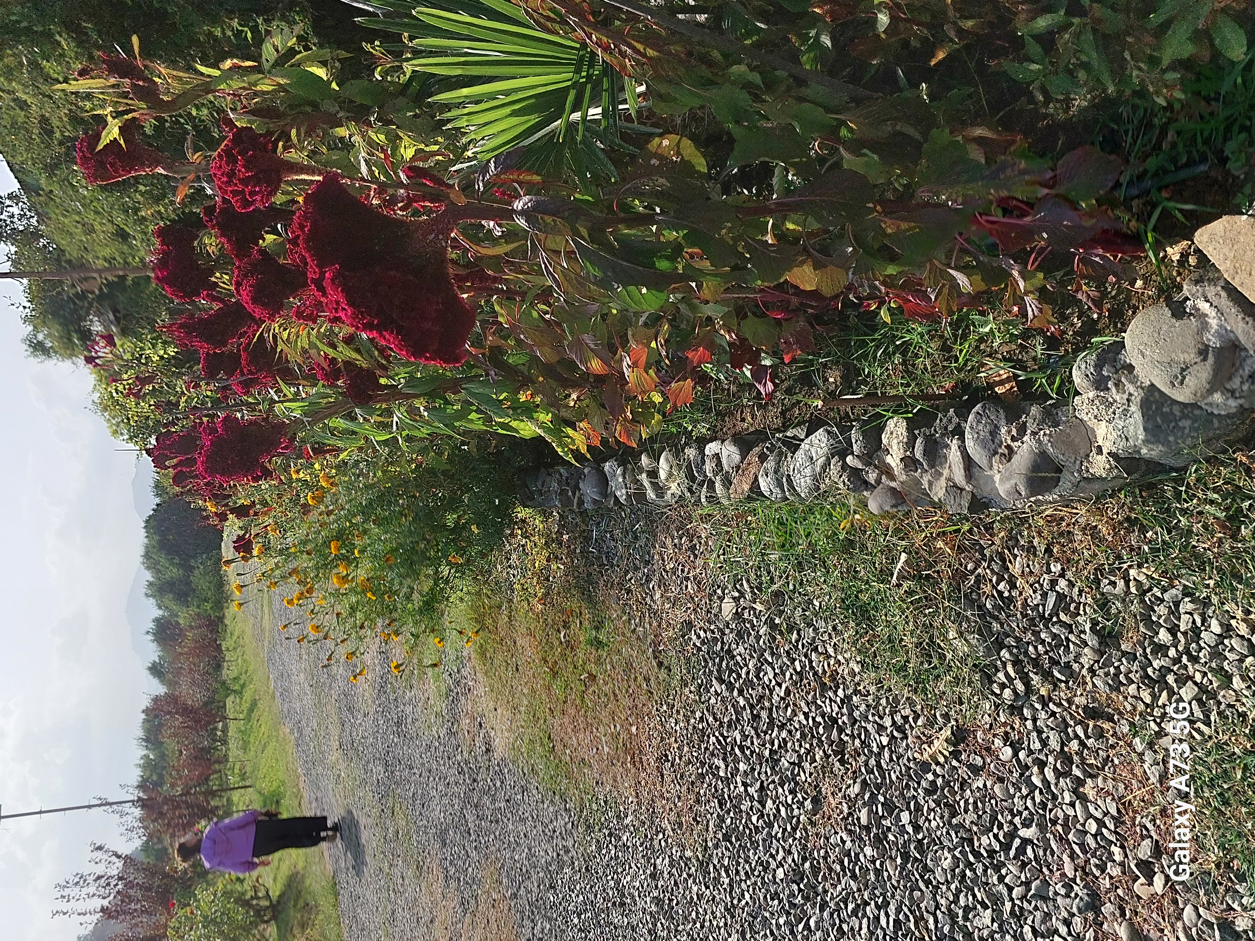 Юг Азербайджана за один день:от пещер Гобустана до субтропиков Ленькорани (18/75)